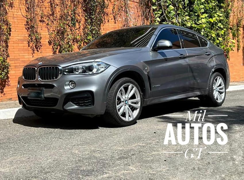 BMWX6 (1)