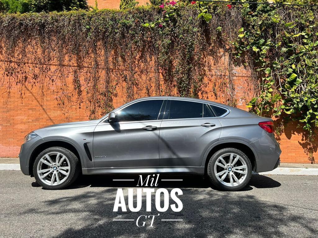 BMWX6 (7)
