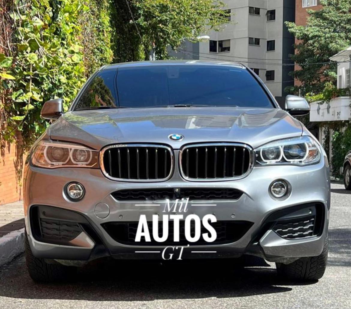 BMWX6 (9)