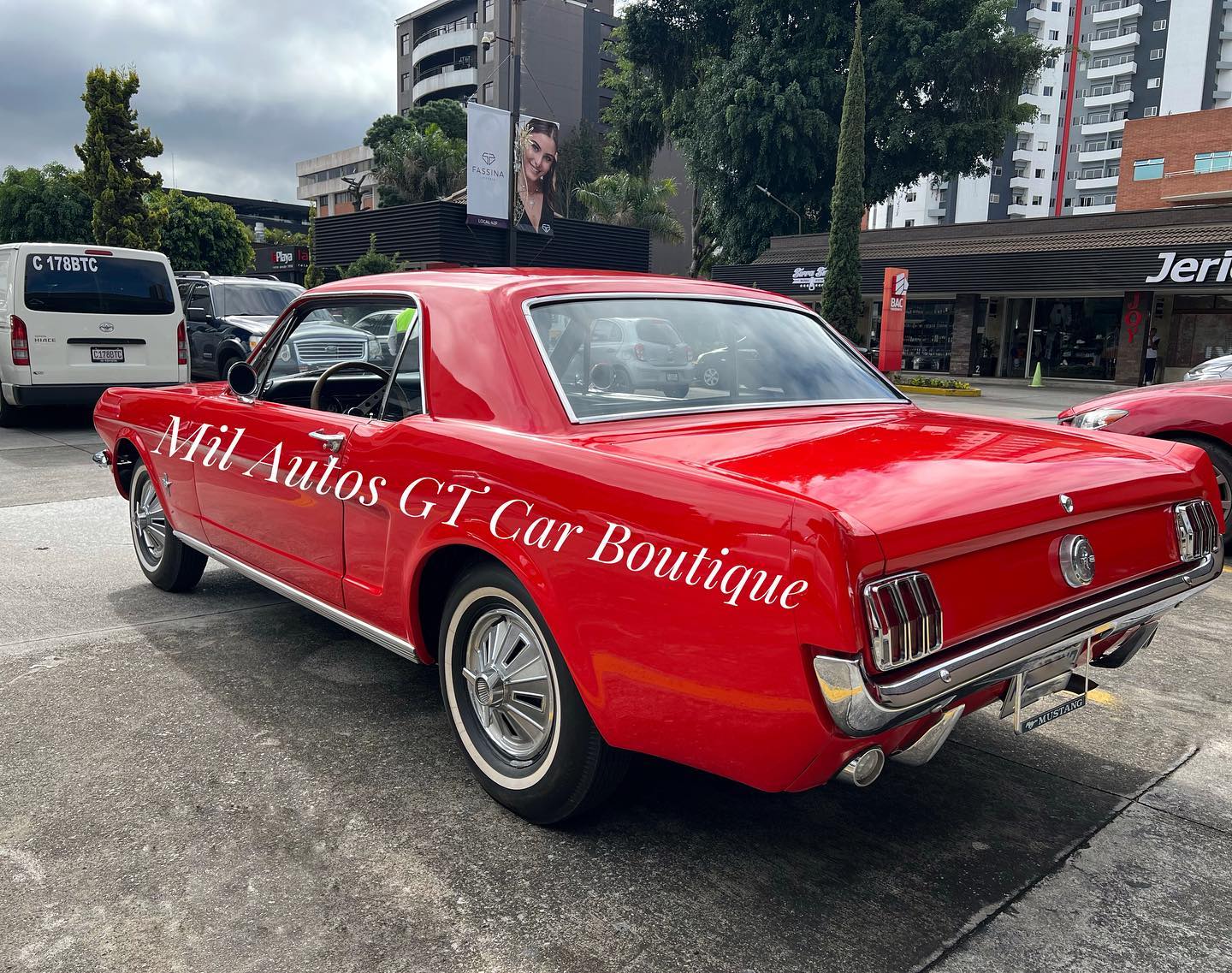 Mustang (1)