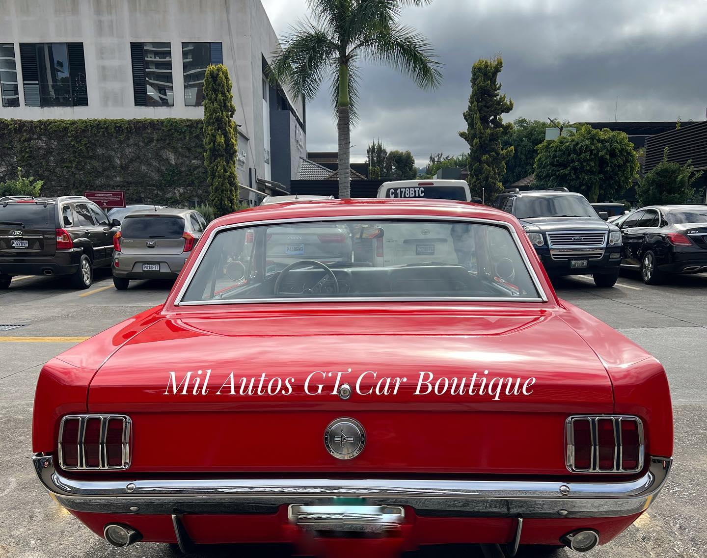 Mustang (3)
