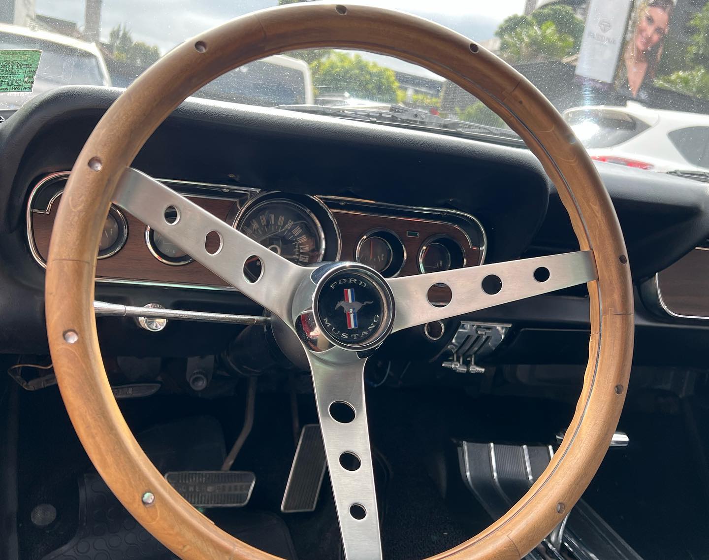 Mustang (7)
