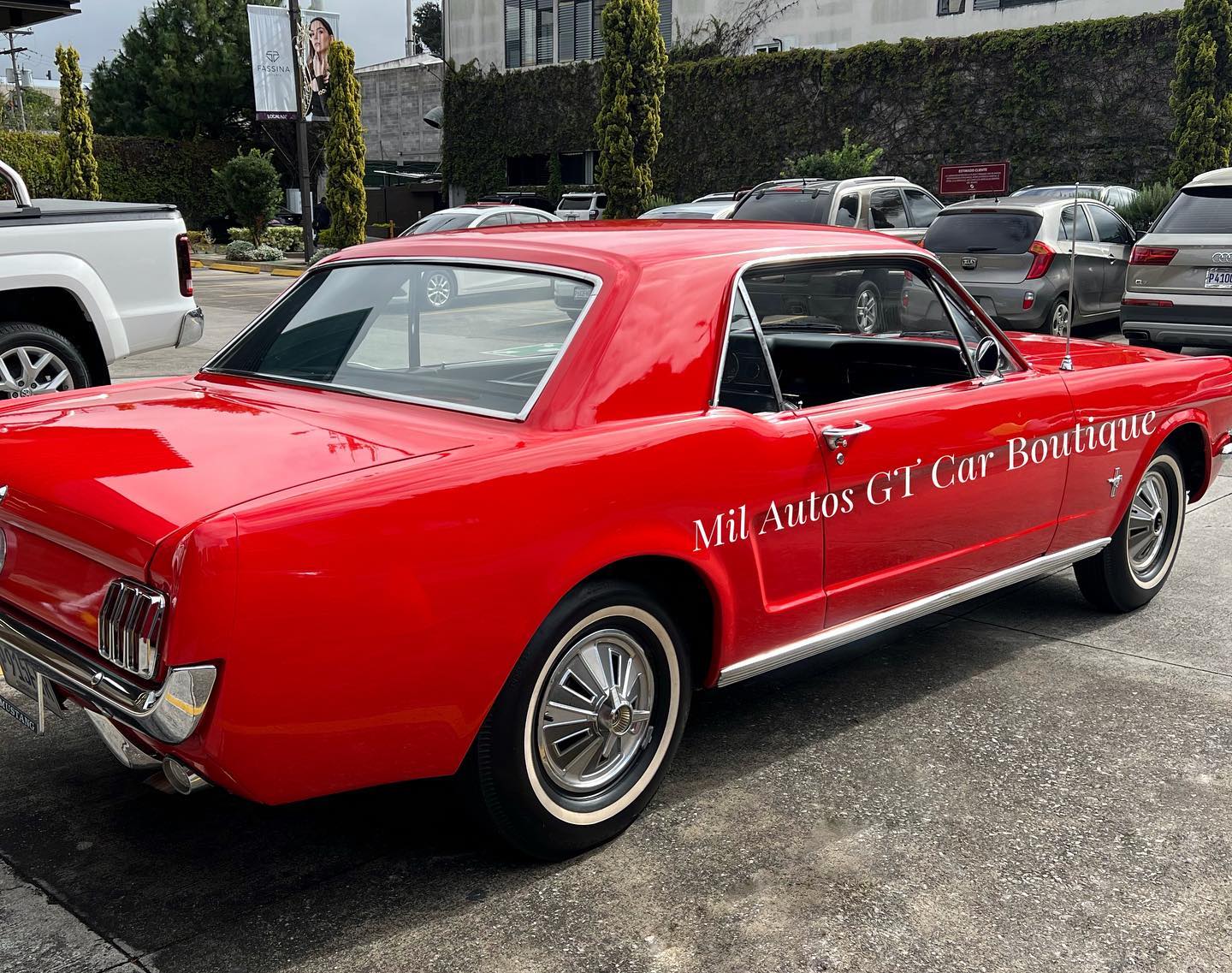 Mustang (9)