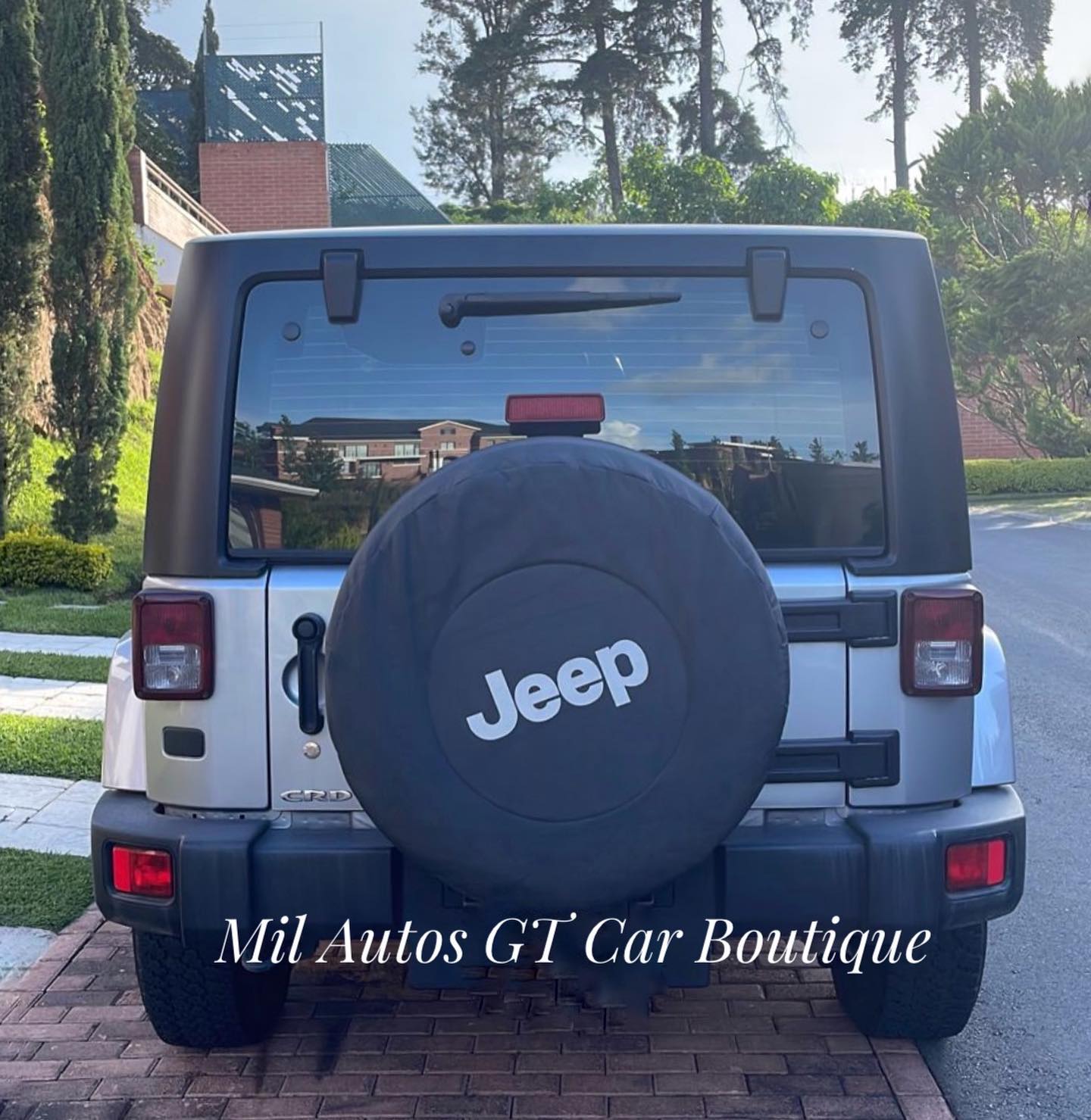 JeepWrangles (4)