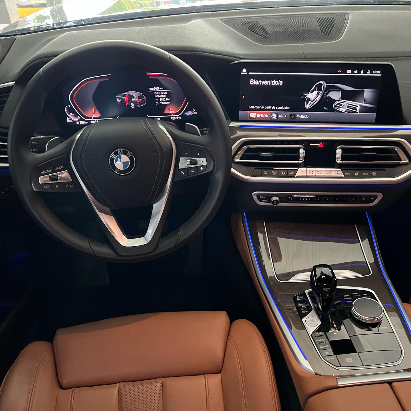 BMW x5 (6)