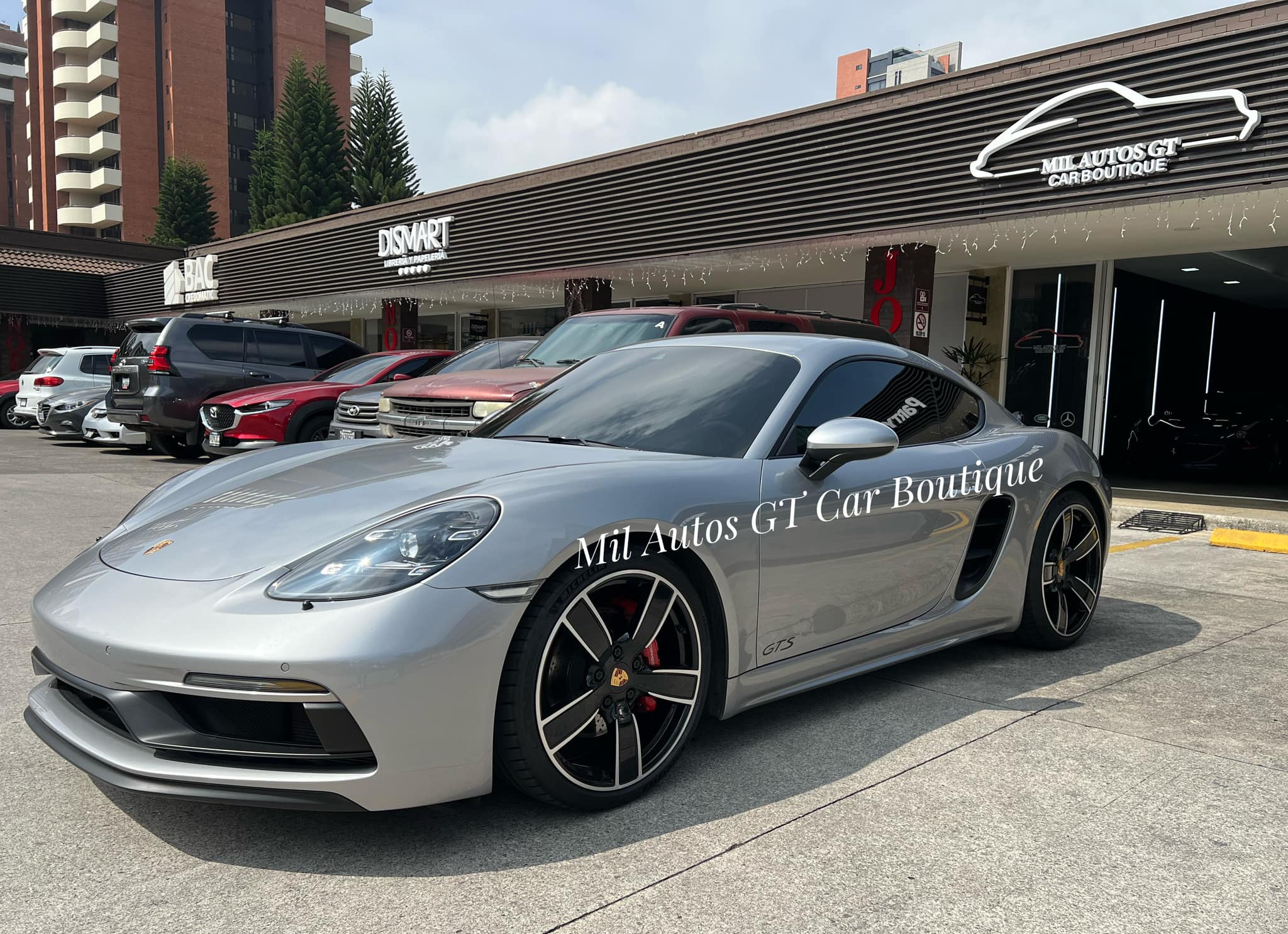 Porsche 718 Catman GTS