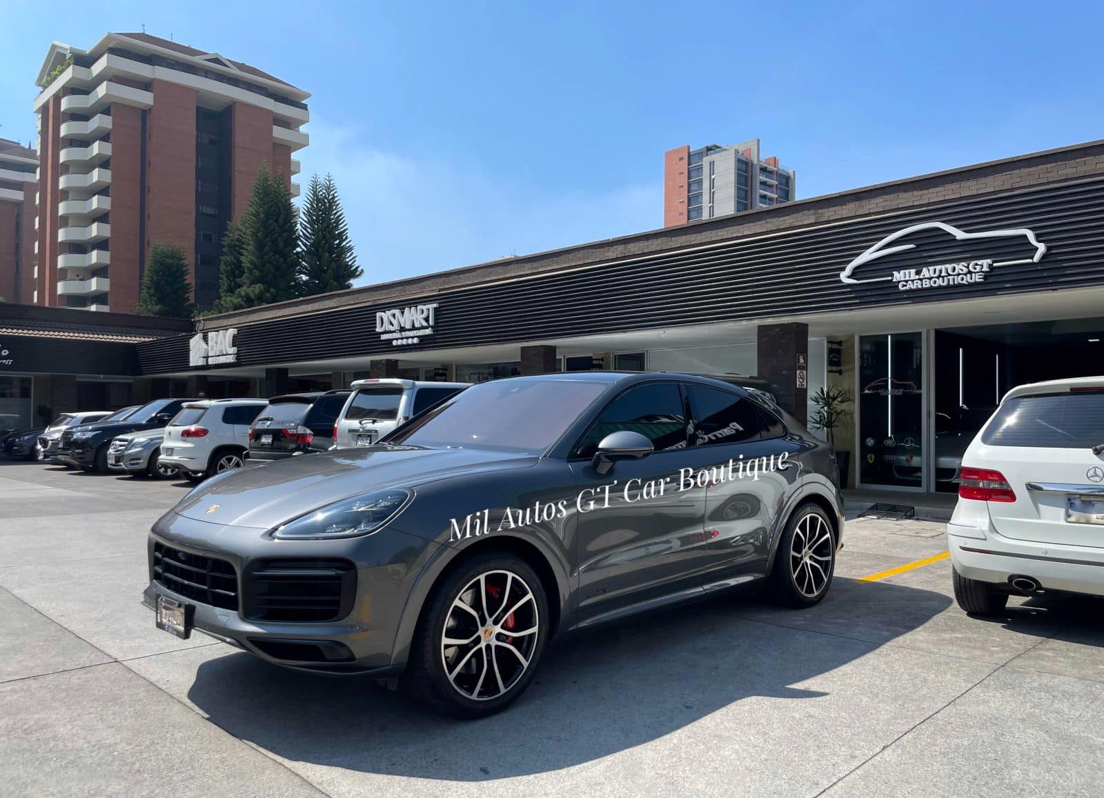 Porsche CAYENNE (10)