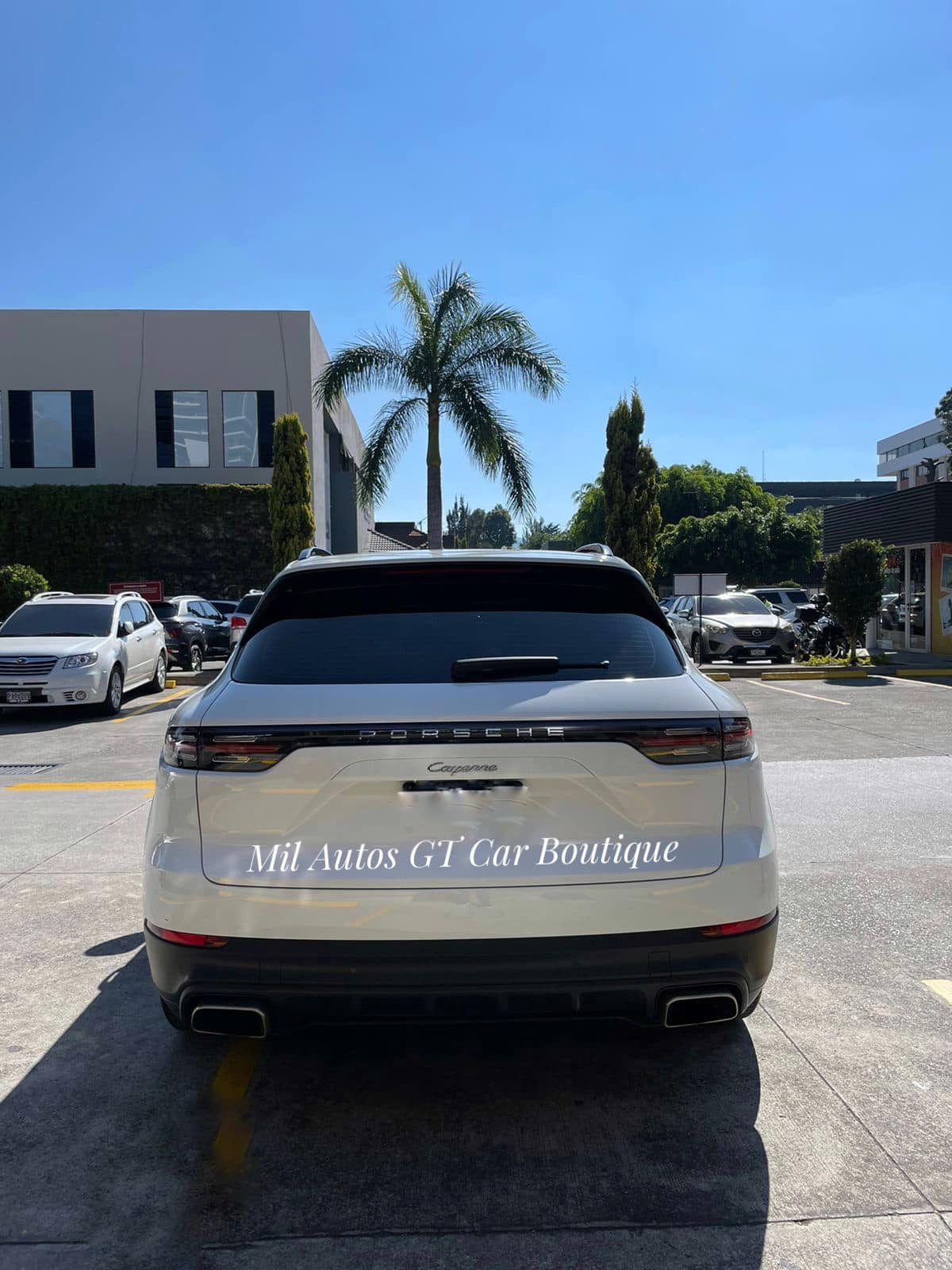 Porsche Cayenne (3)