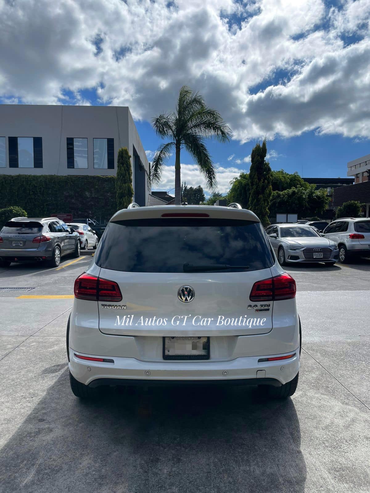 Volkswagen TIGUAN (9)
