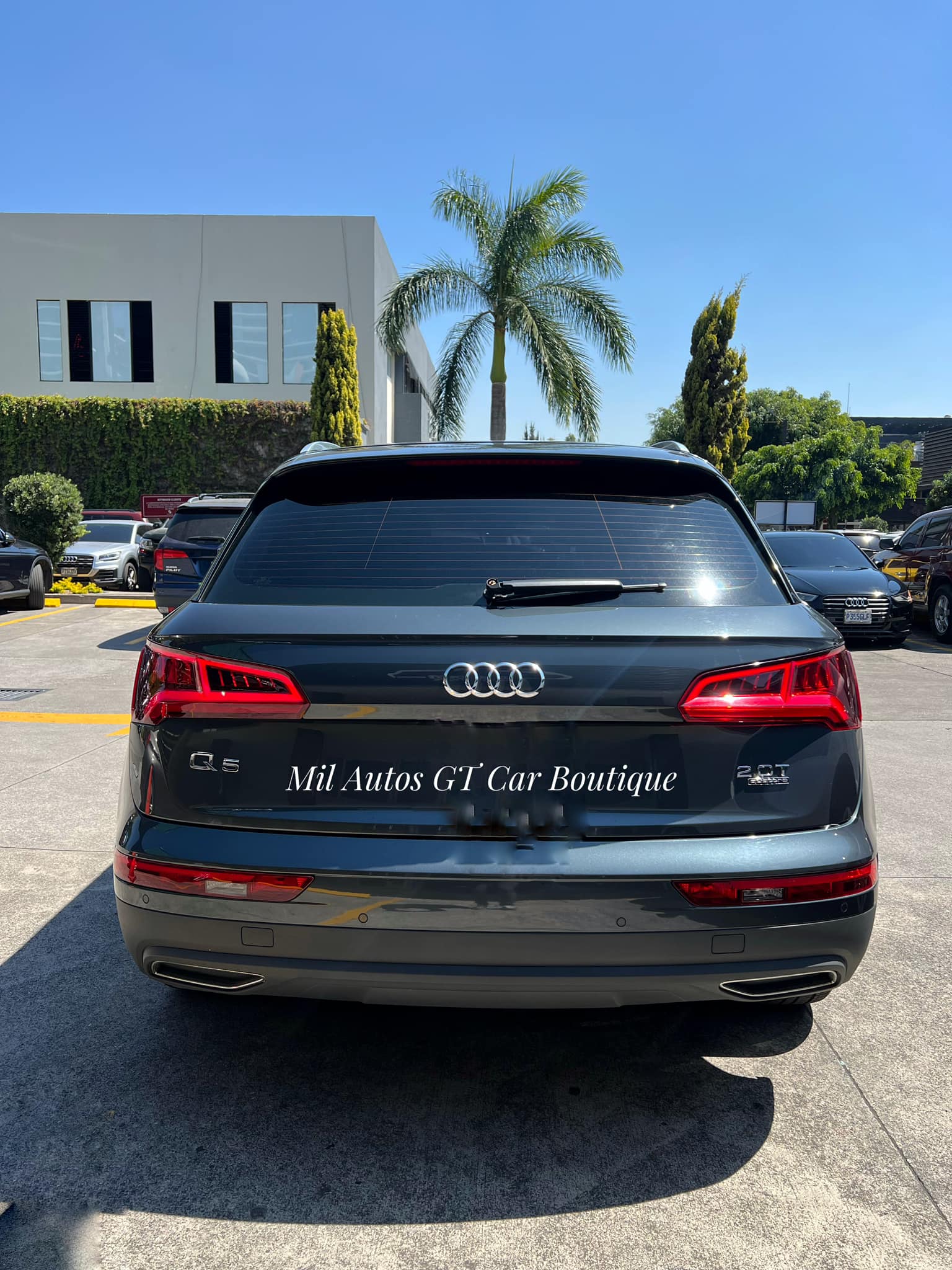 AUDI (1)