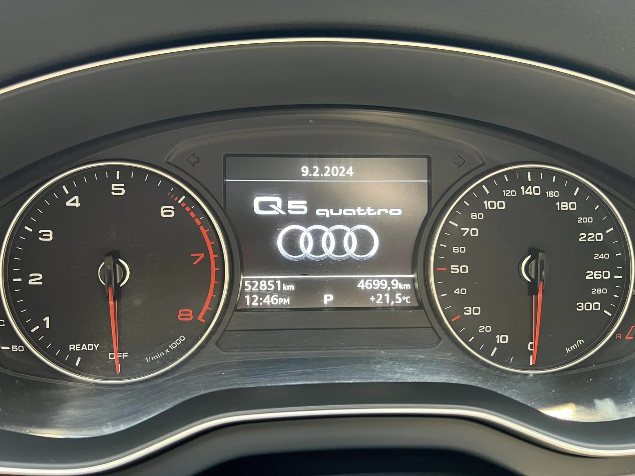 AUDI (3)