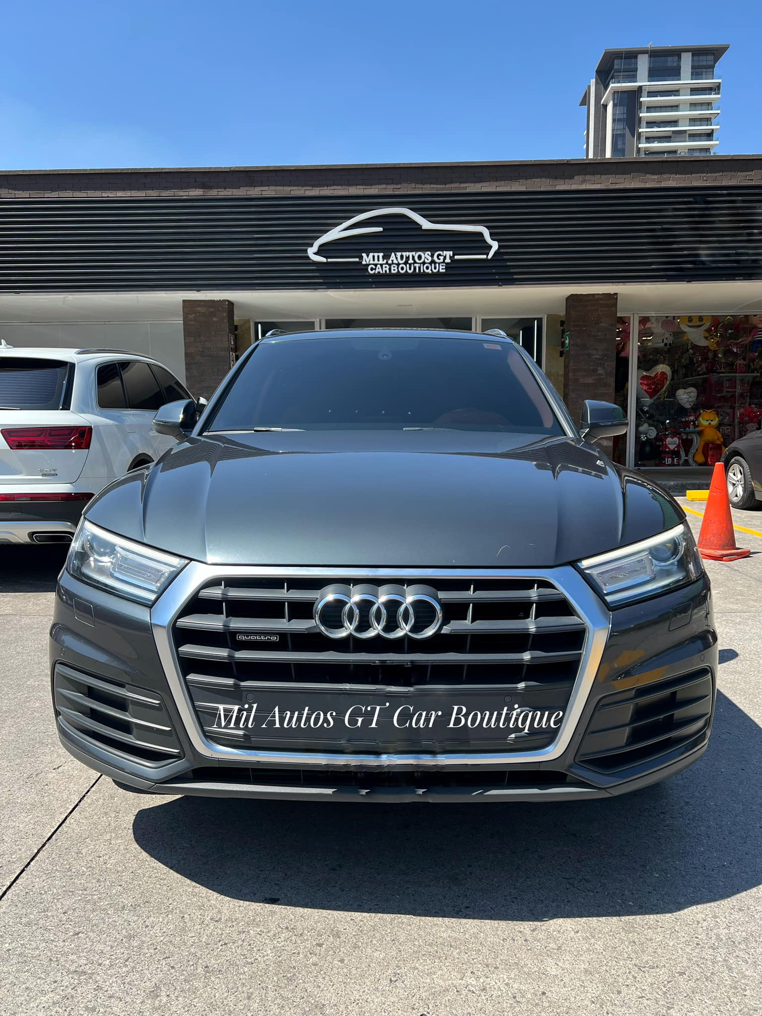 AUDI (5)