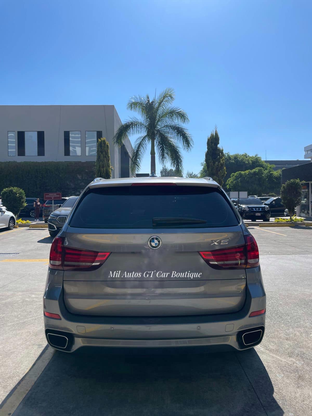 BMW (6)