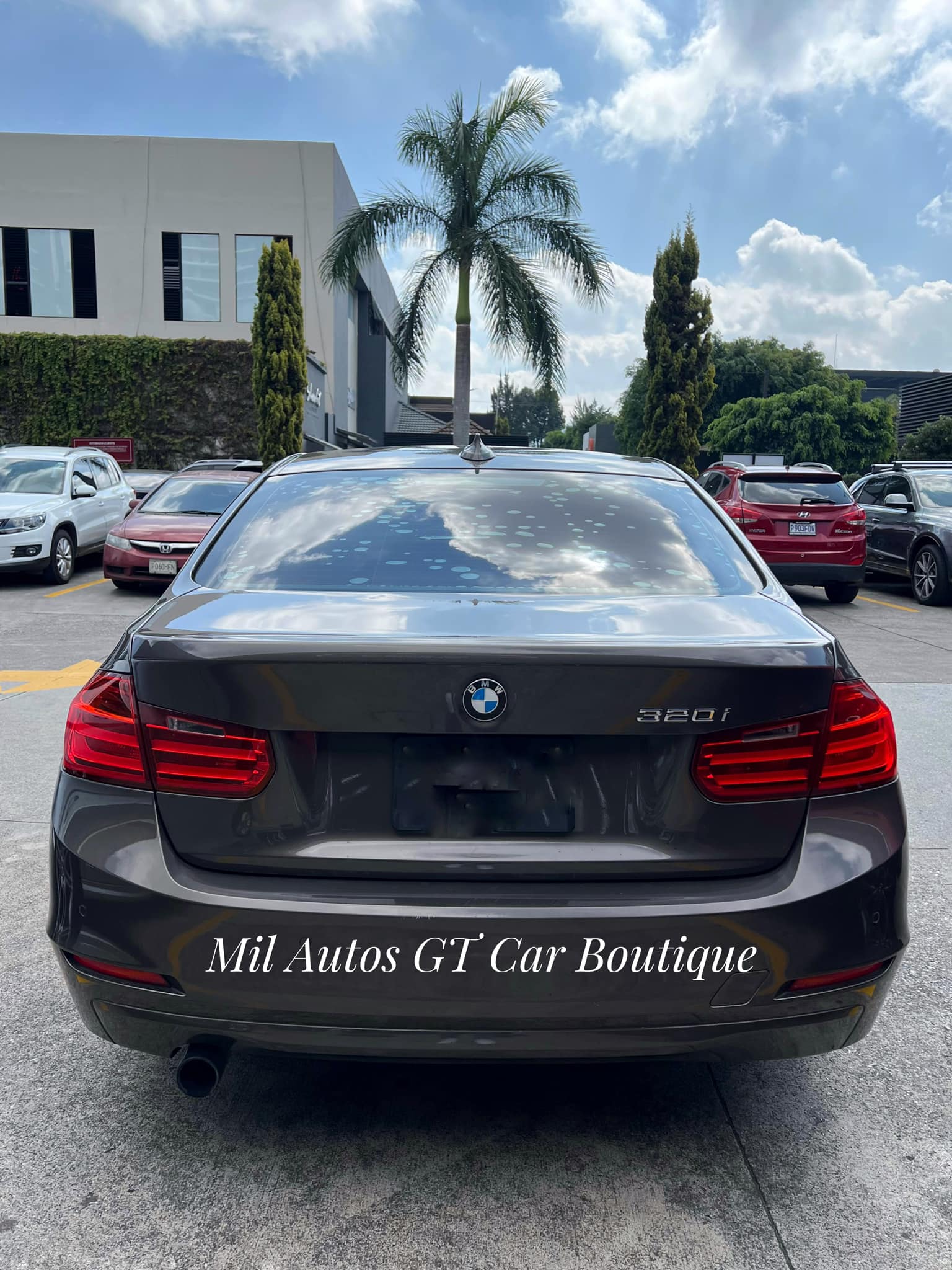bmw (7)