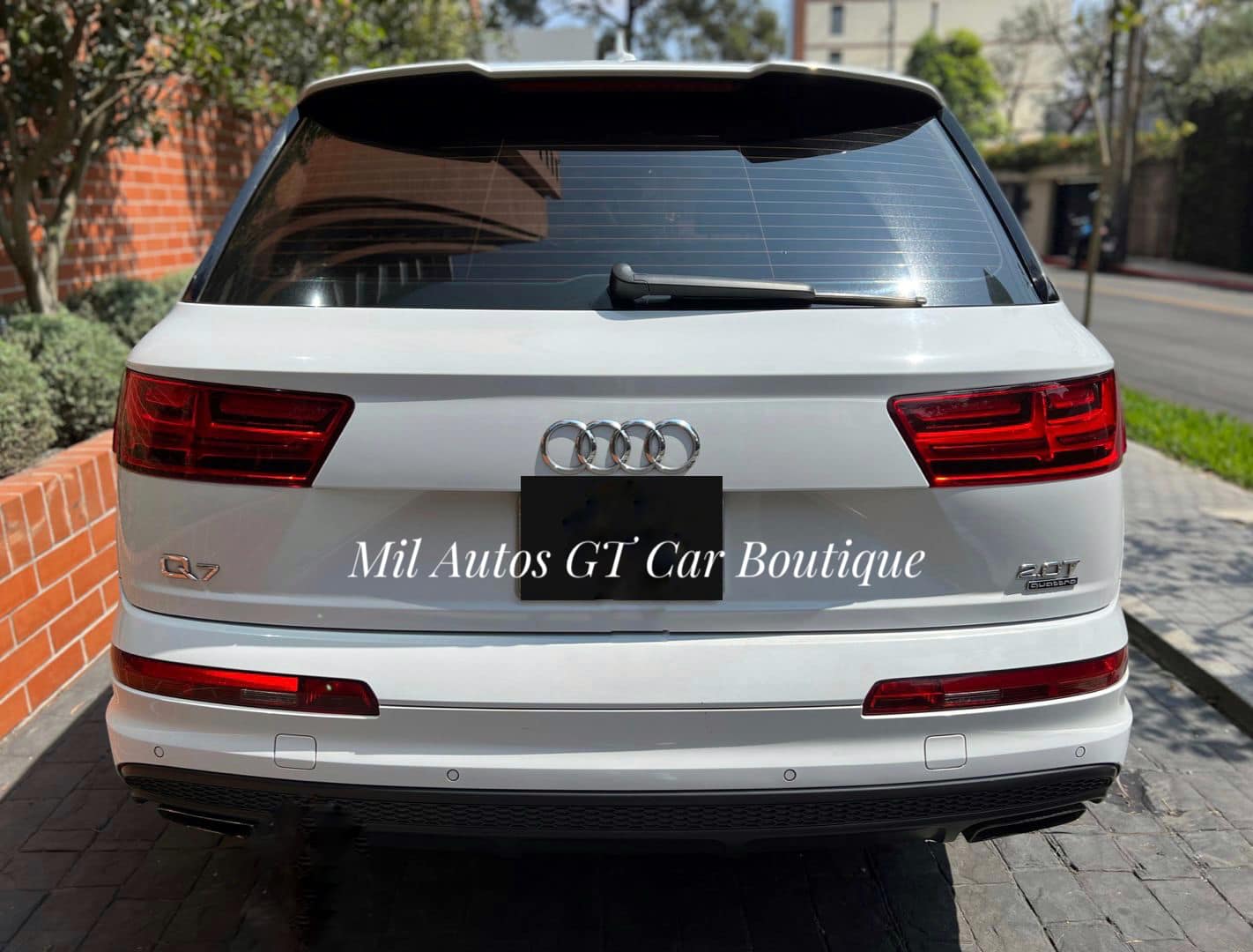 AudiQ4 (3)
