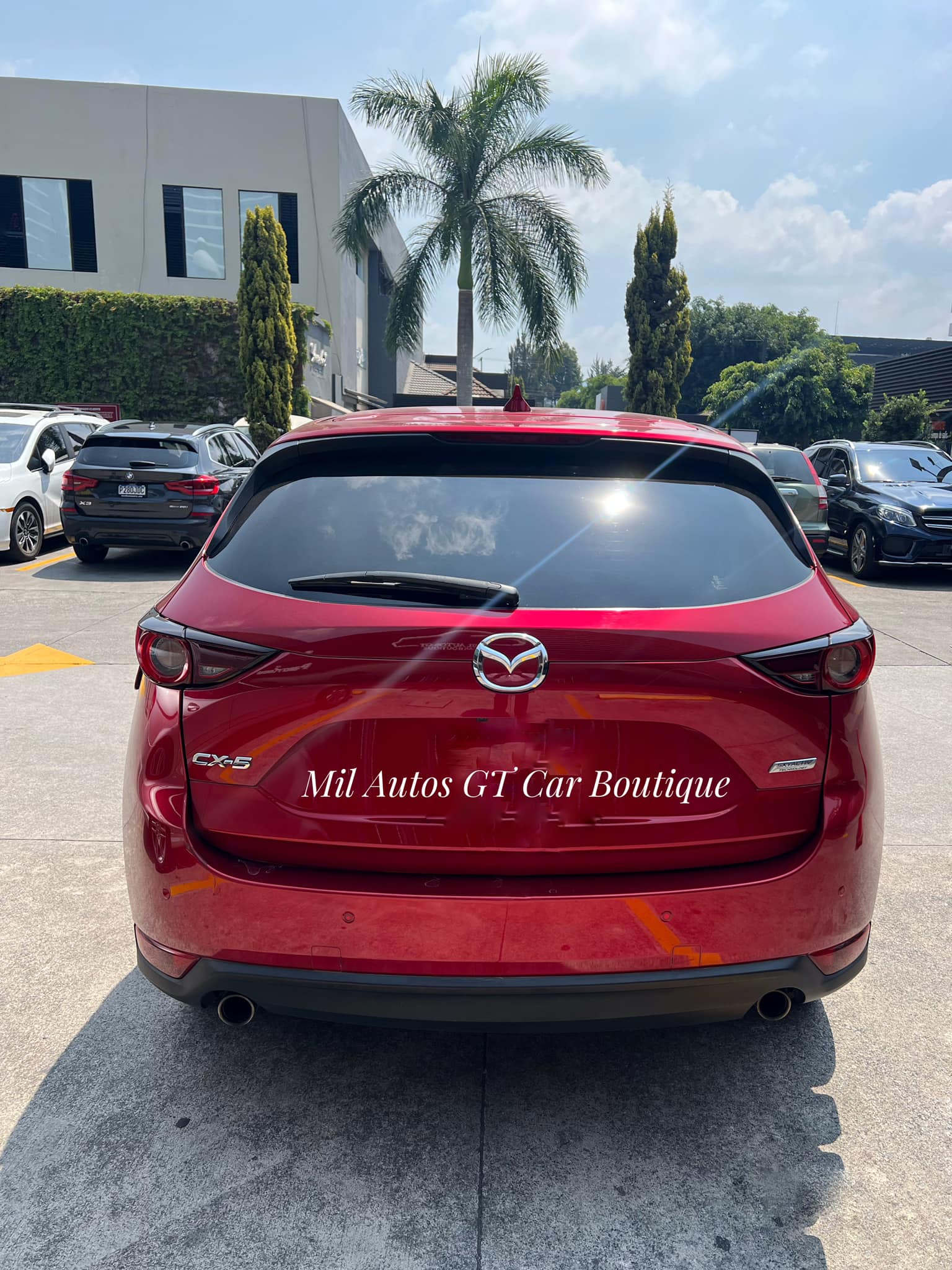 CX5 (10)