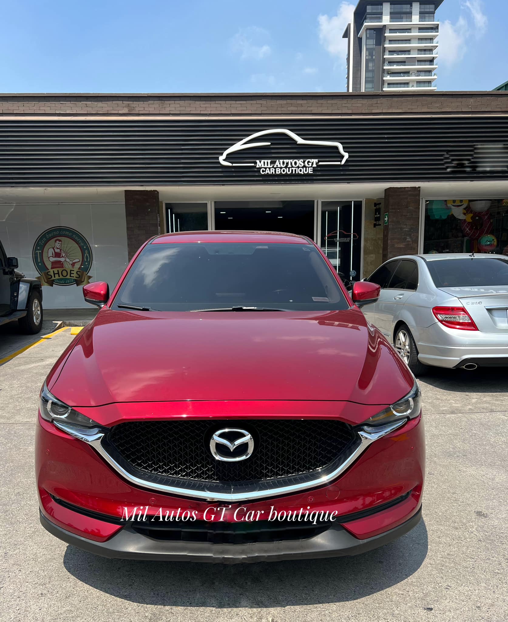 CX5 (8)