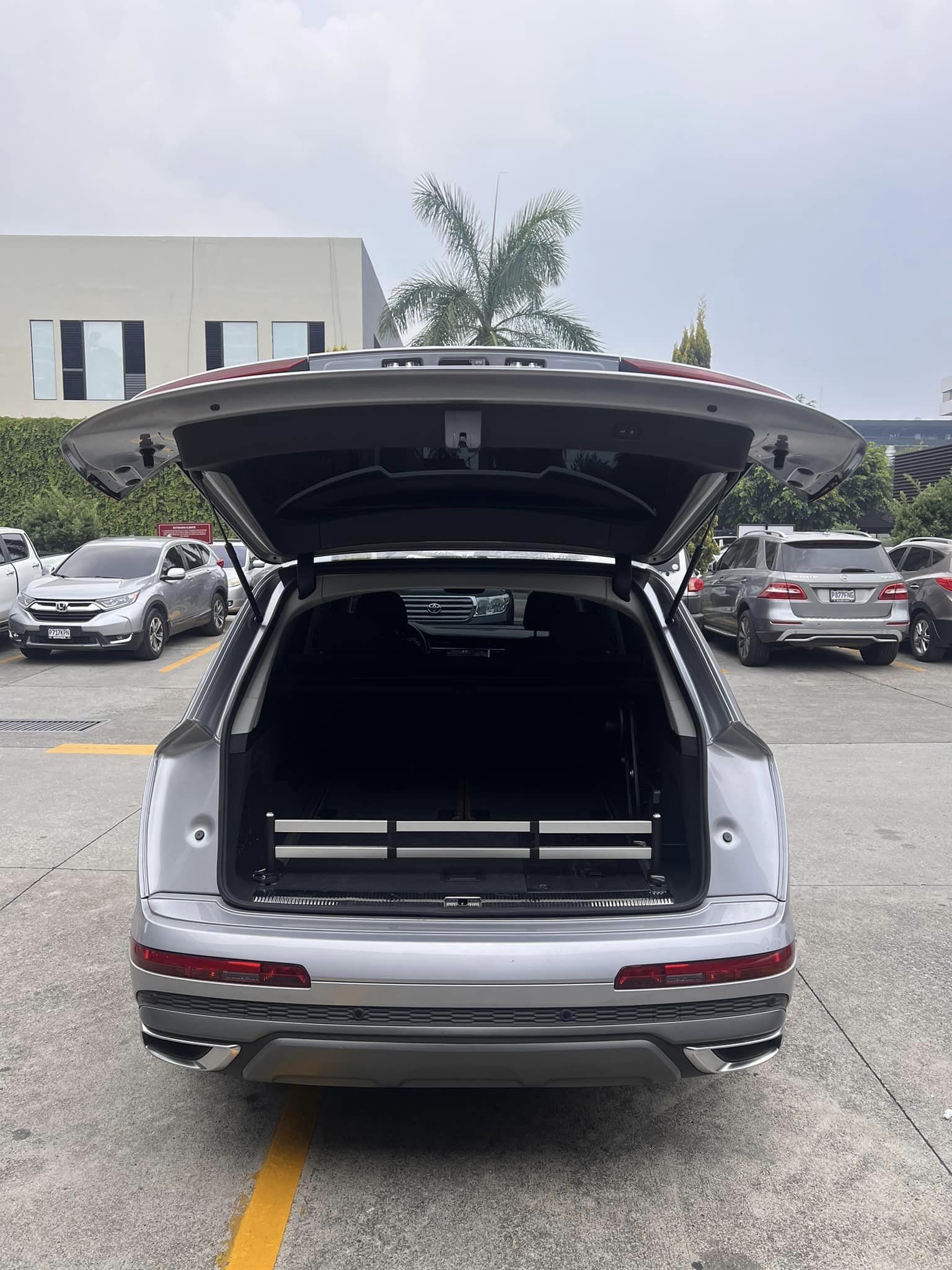 Audi (11)