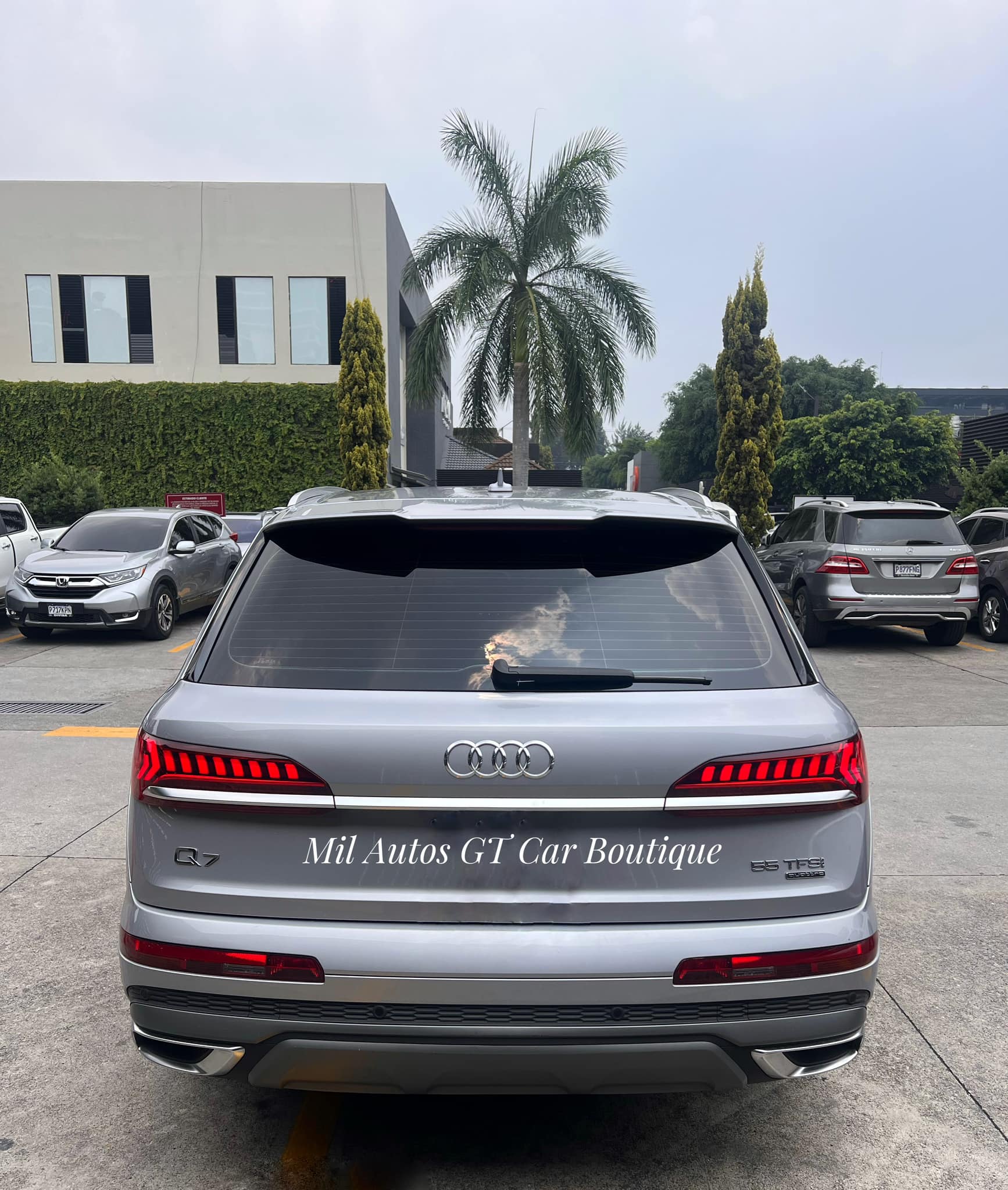 Audi (13)