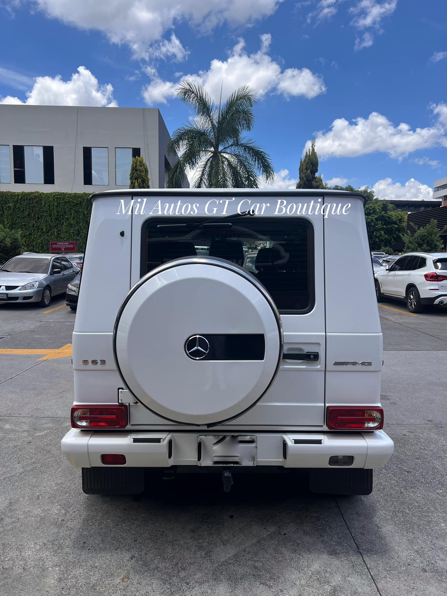 Mercedes Benz (4)