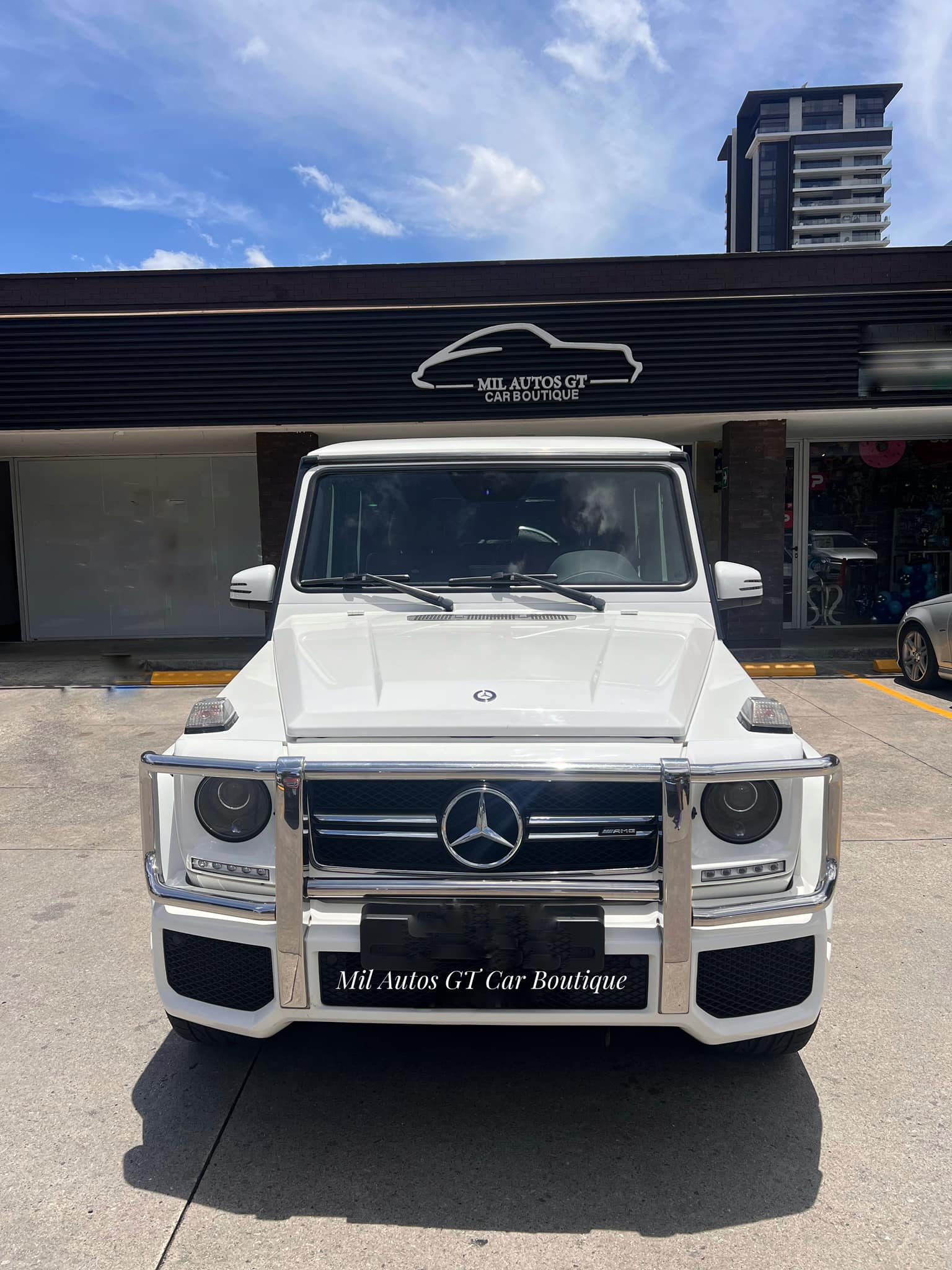 Mercedes Benz (6)