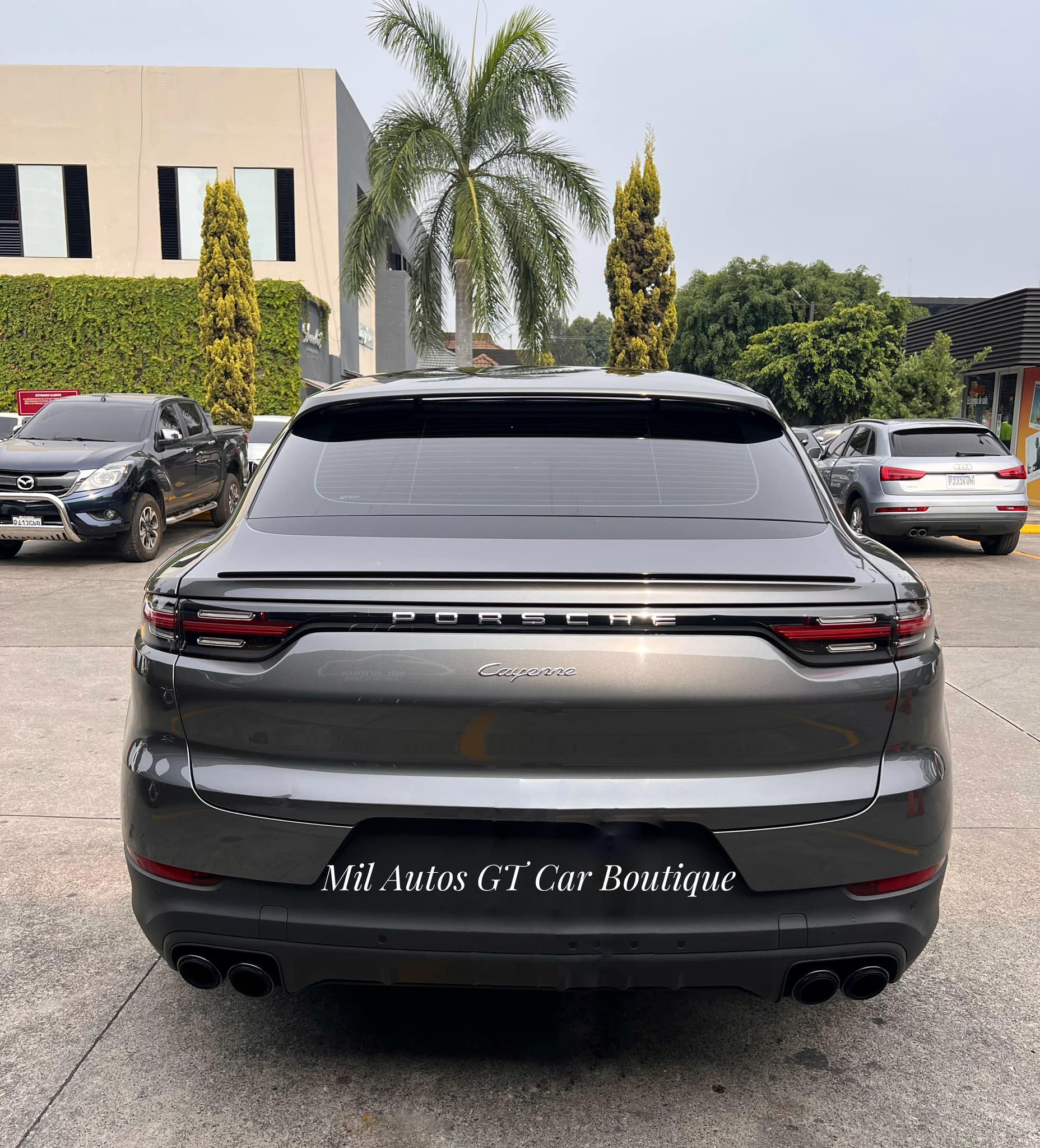PorscheCayenne (6)