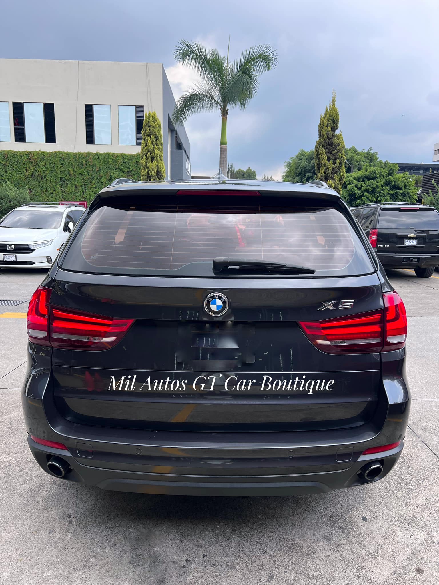 BMW (21)