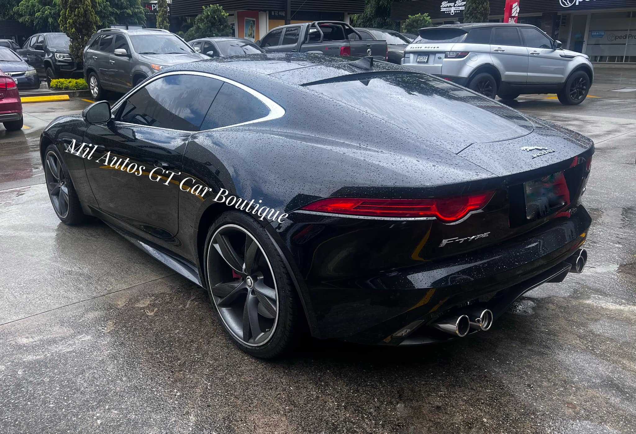 Jaguar (7)