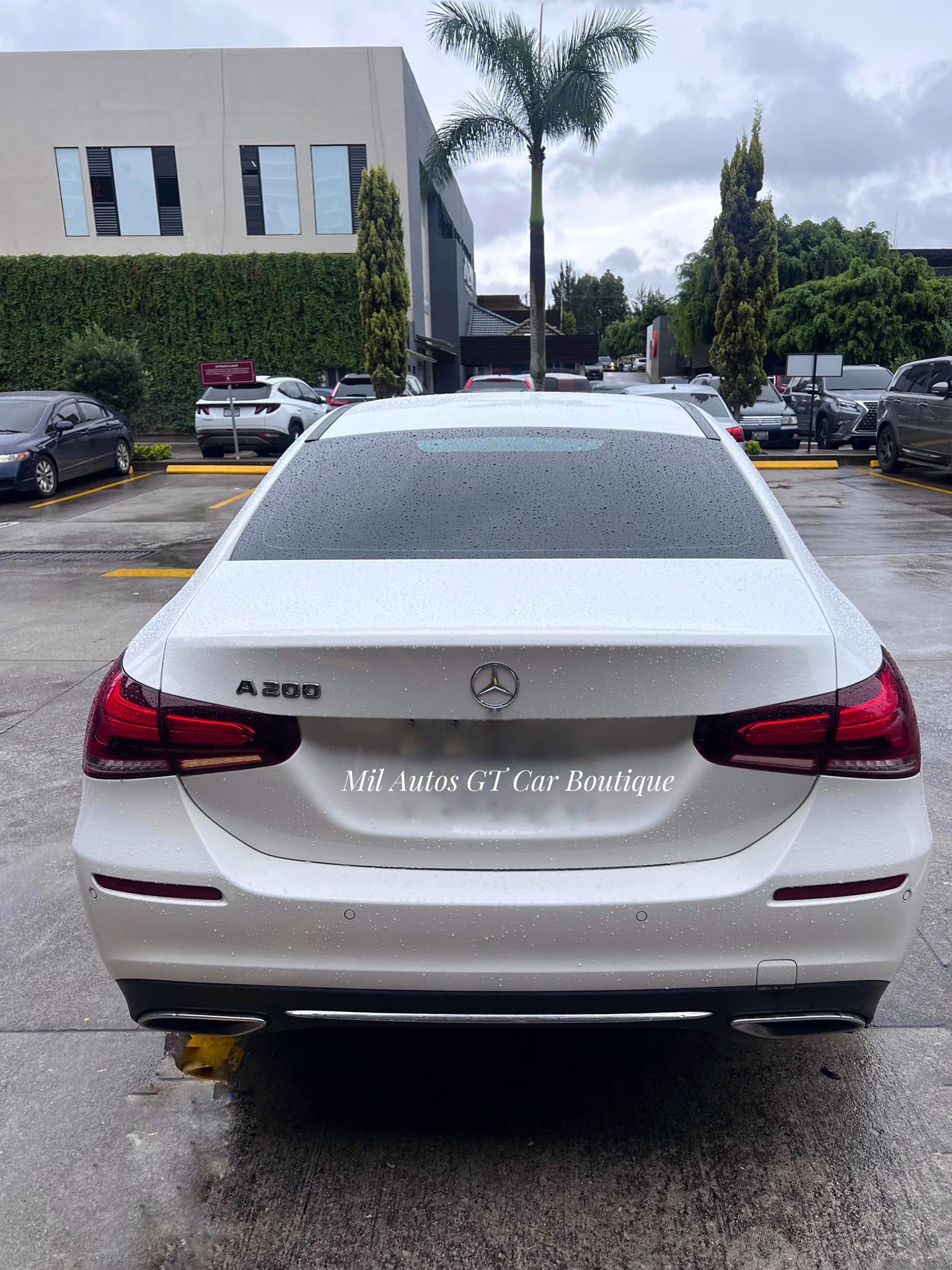 Mercedes (7)
