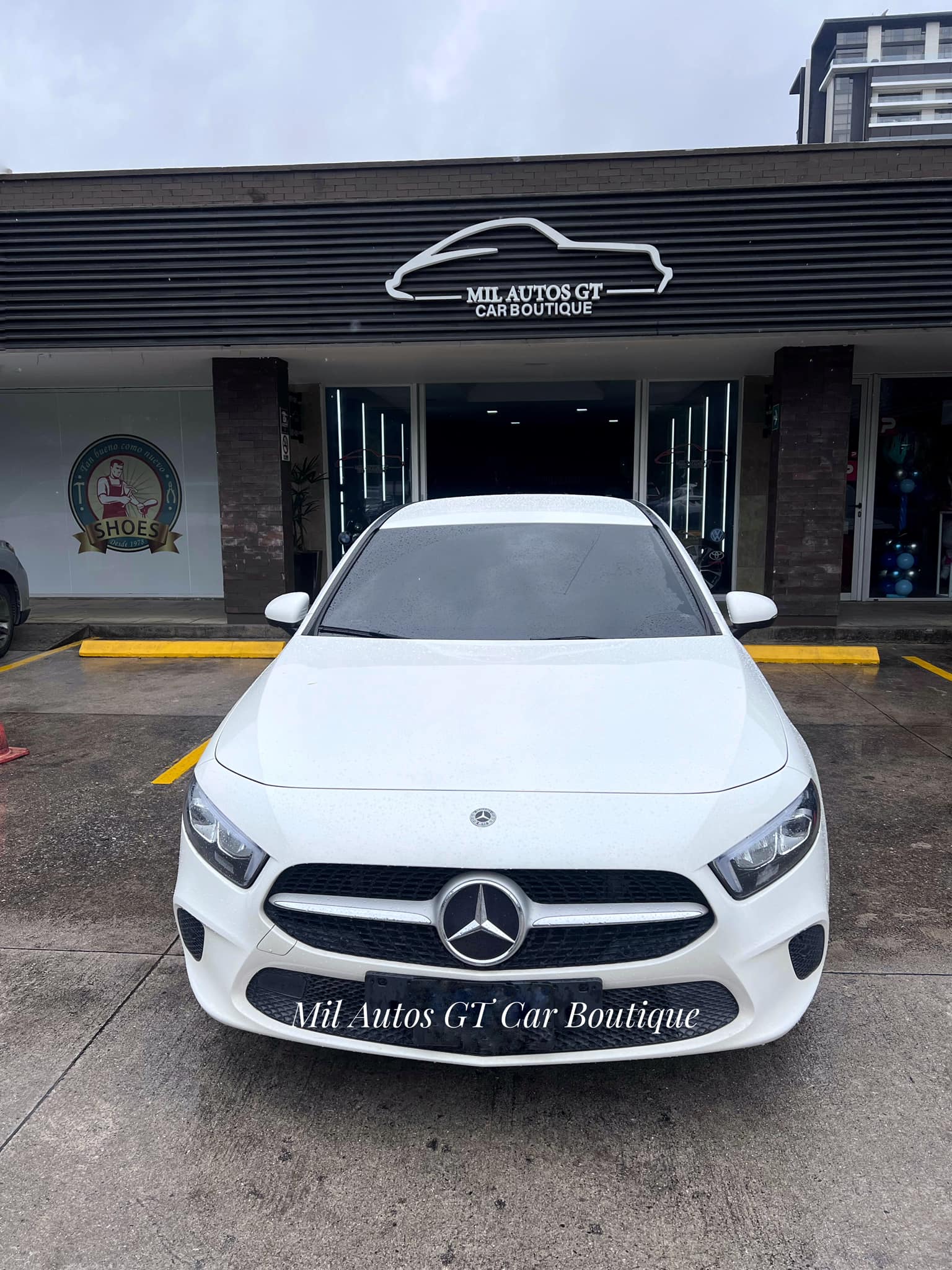 Mercedes (8)
