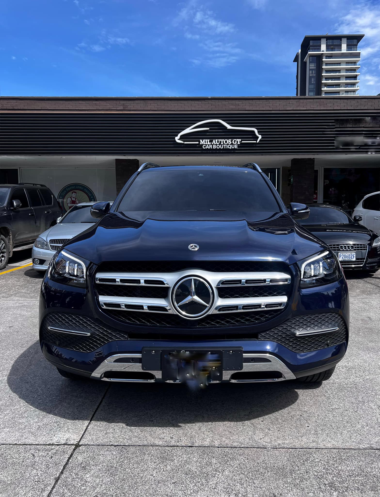 Mercedes Benz (12)
