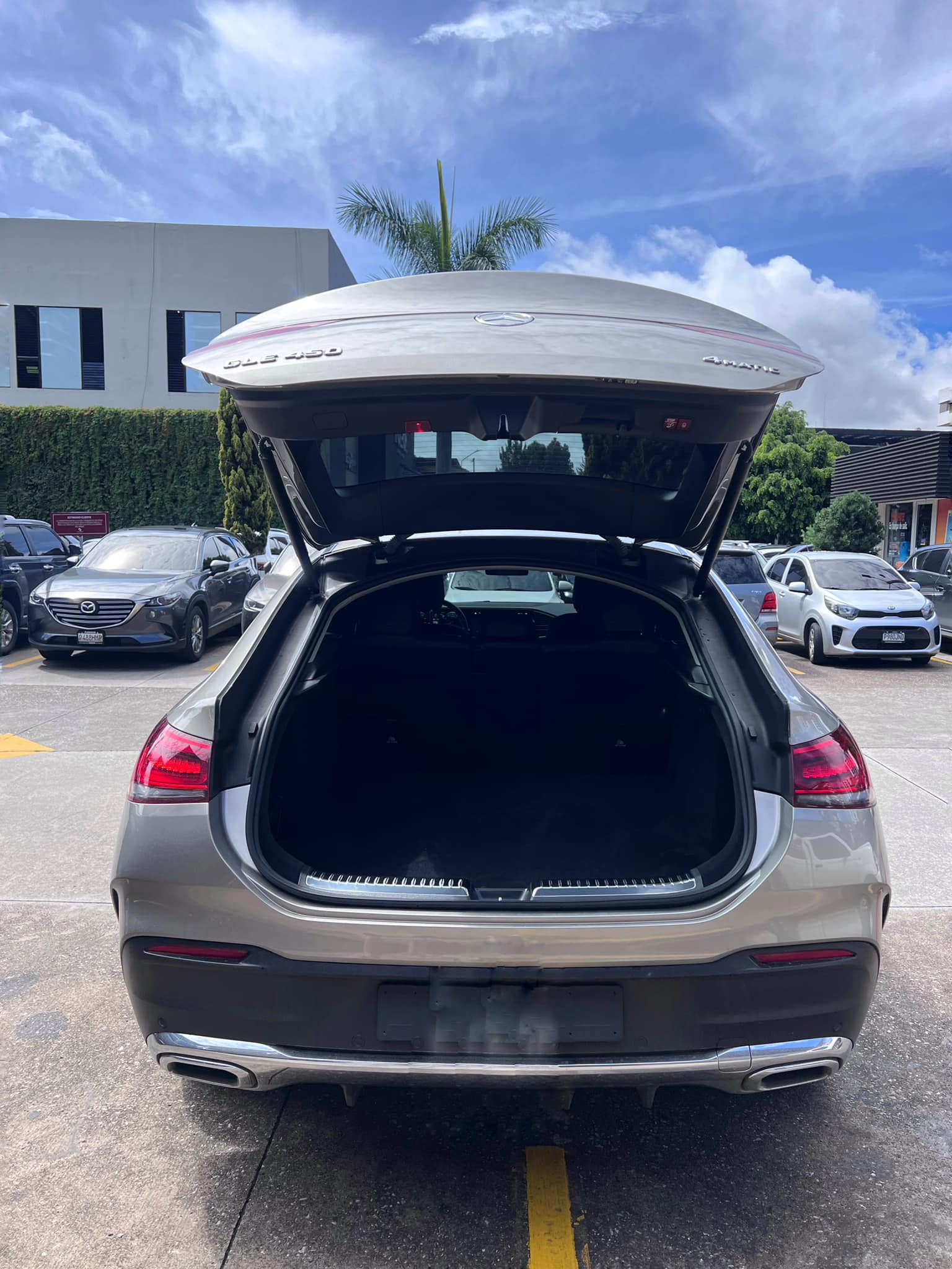 MercedesBenz (6)