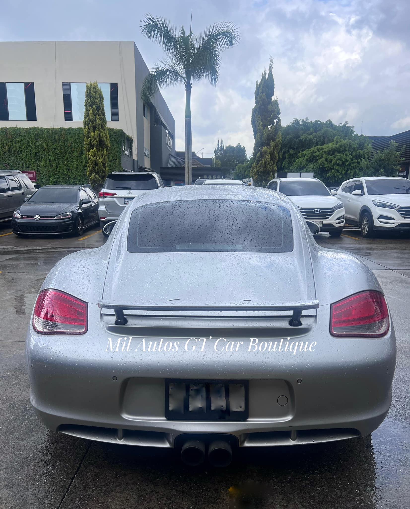 Porsche Cayman (8)