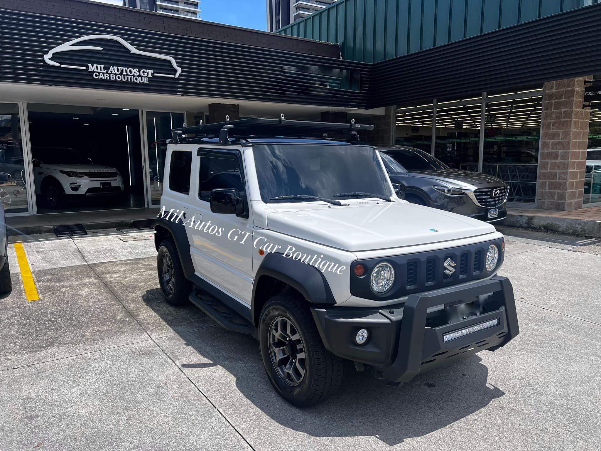 Suzuki (10)