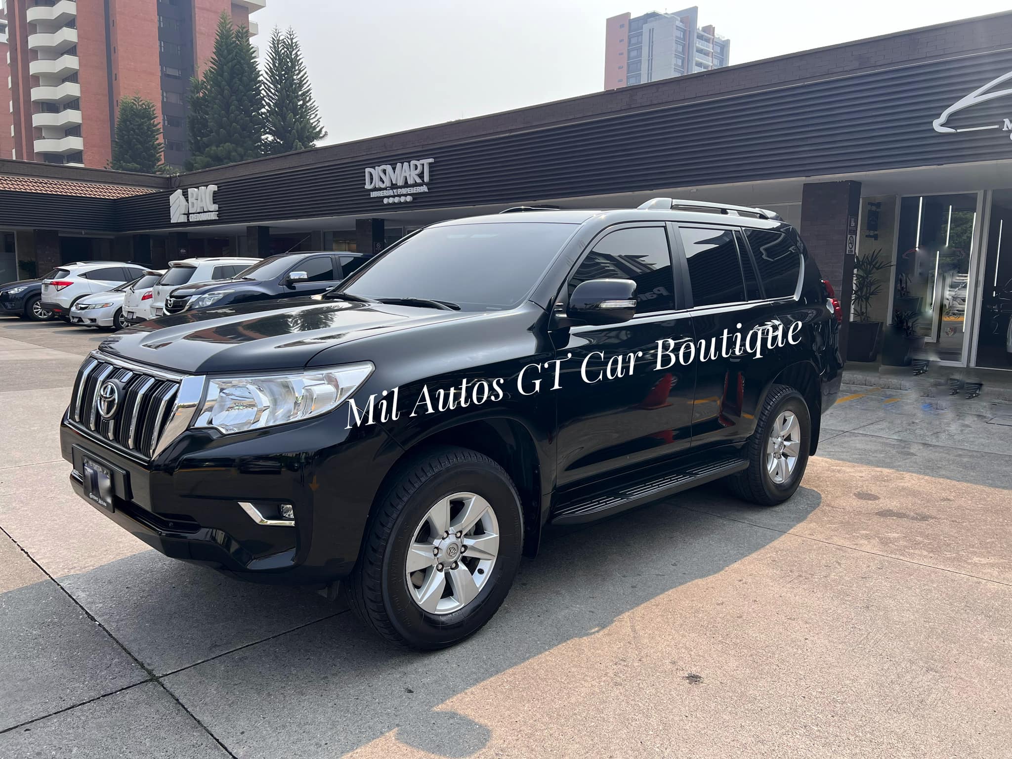 Toyota Prado