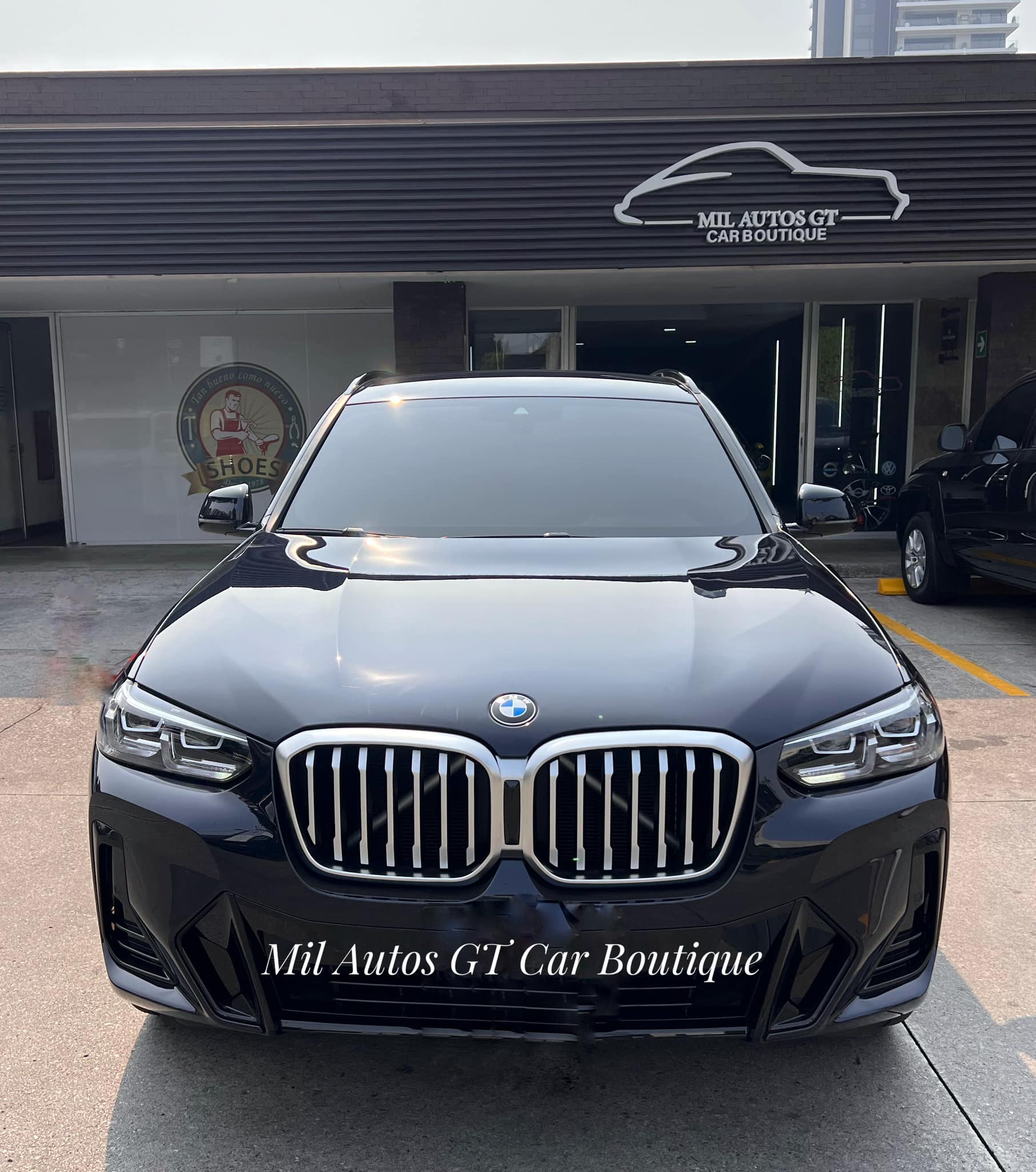 bmw (10)