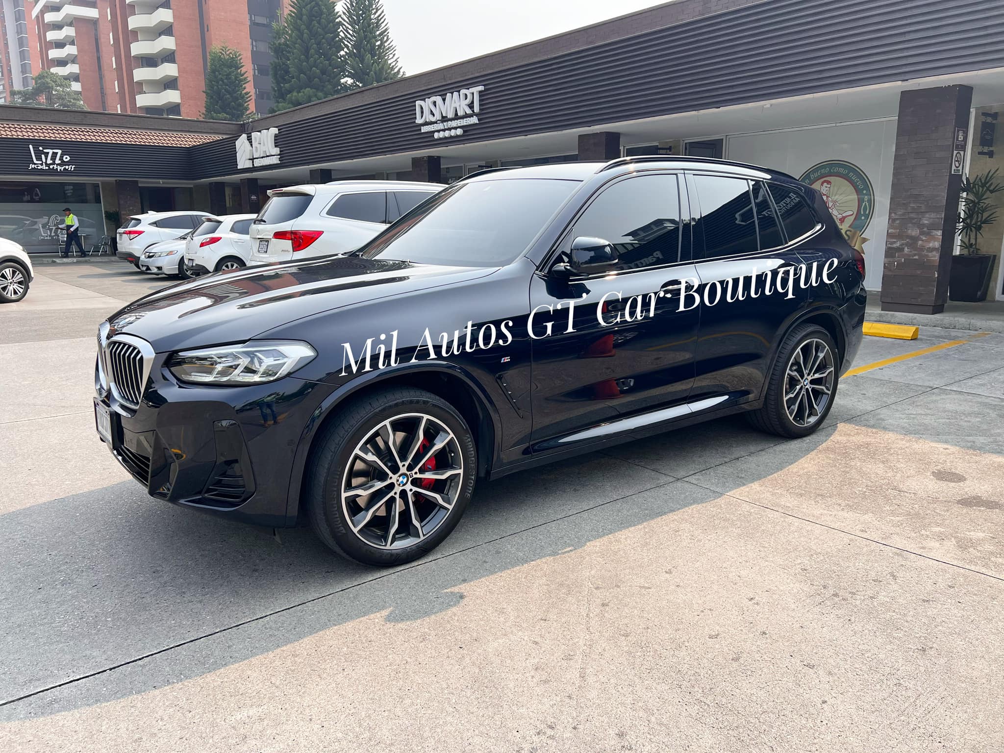 BMW X30i
