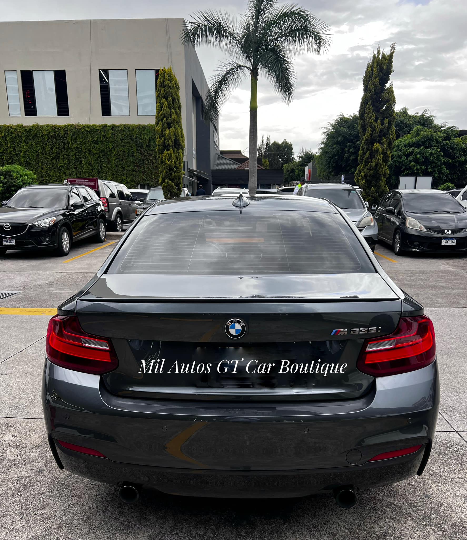 BMW (6)