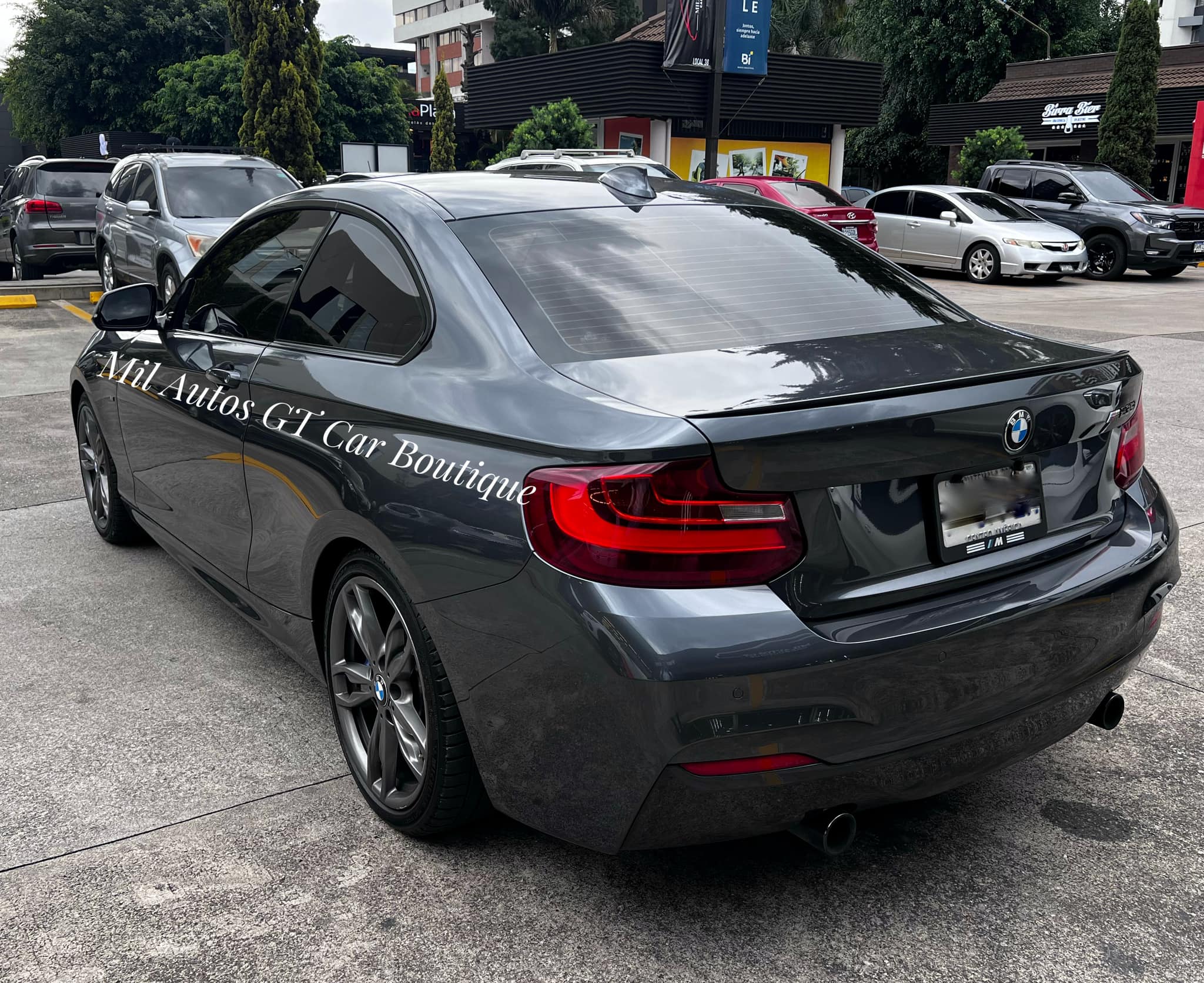 BMW (7)
