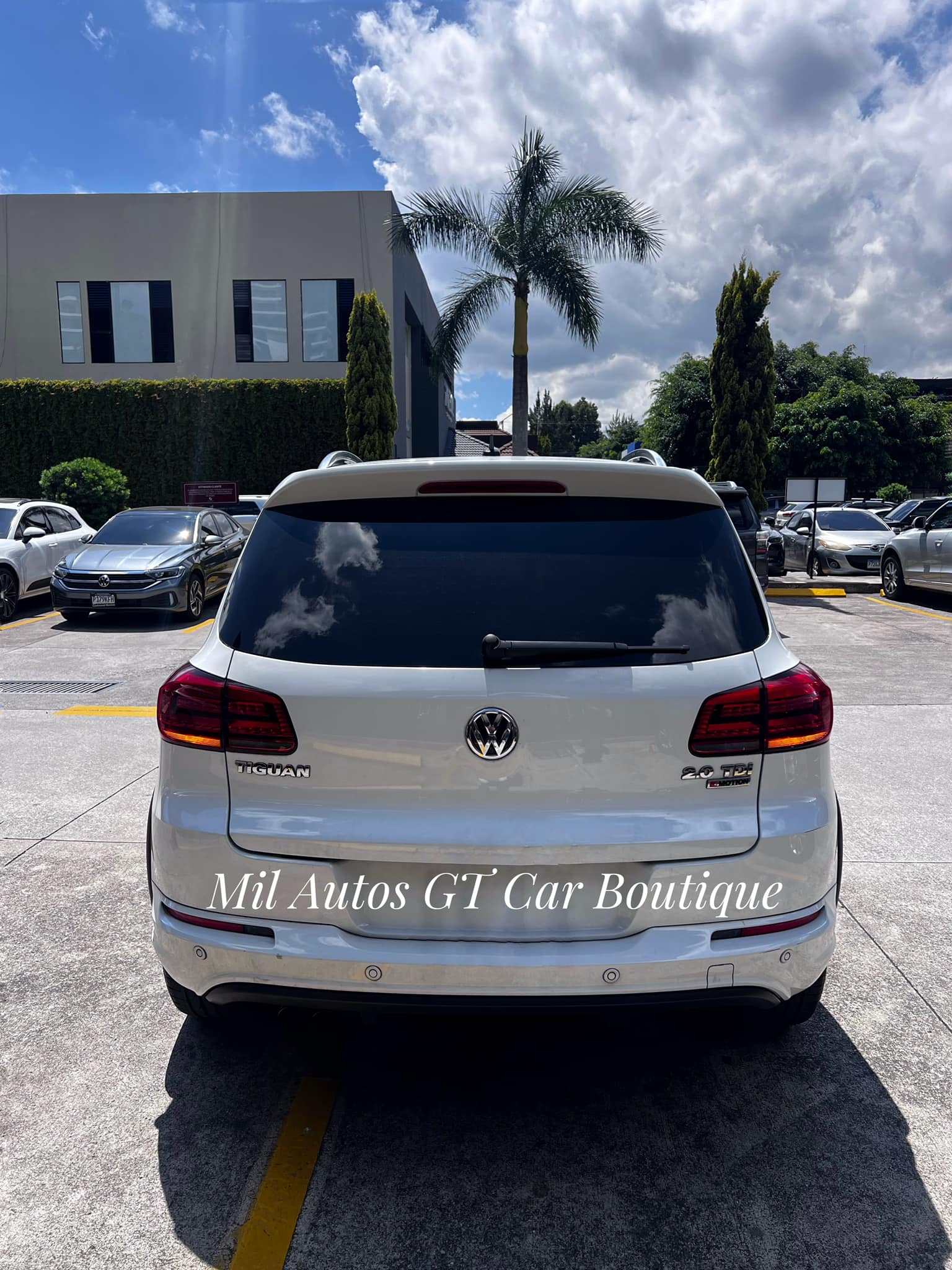 Volkswagen (9)