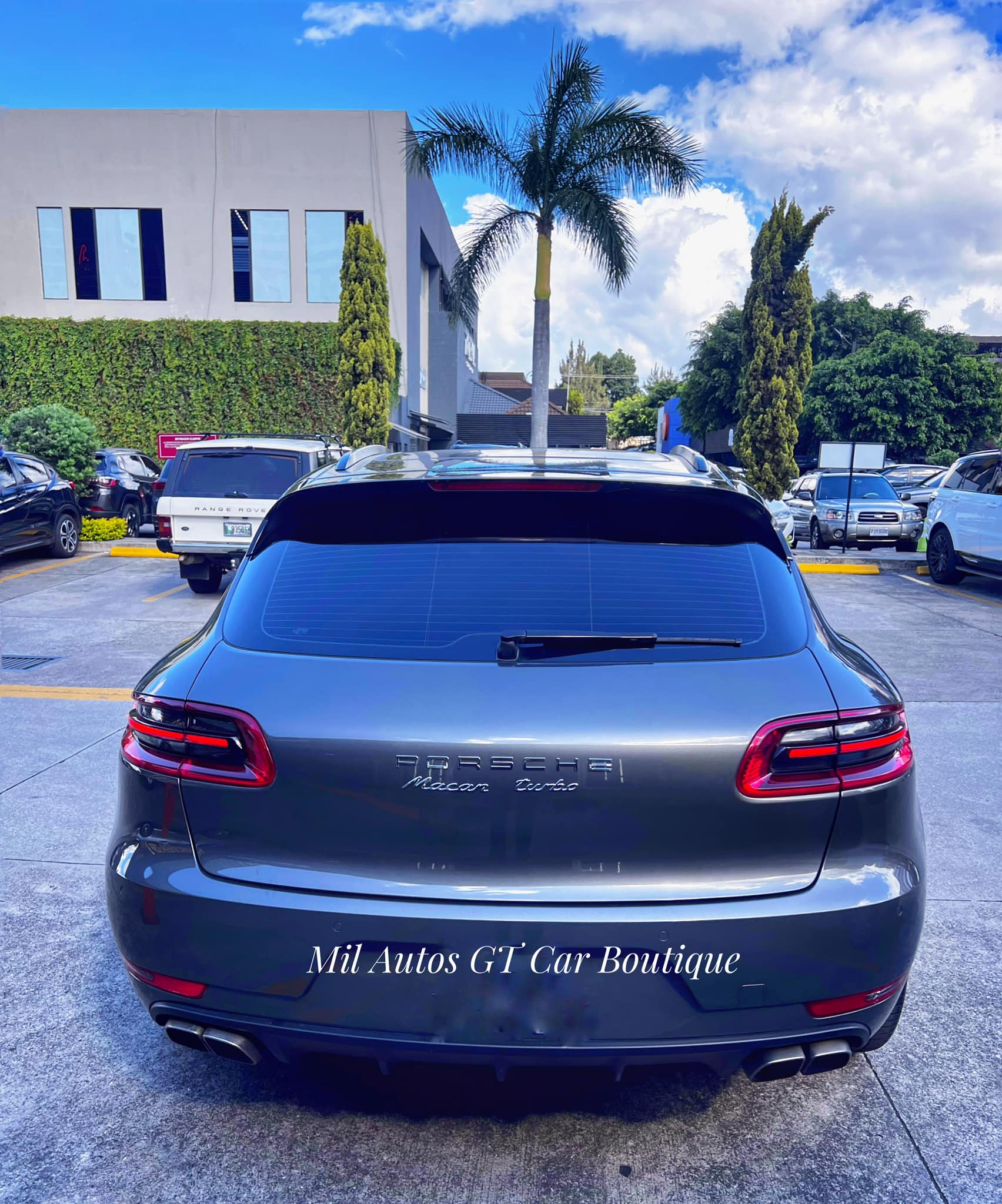 porsche (4)