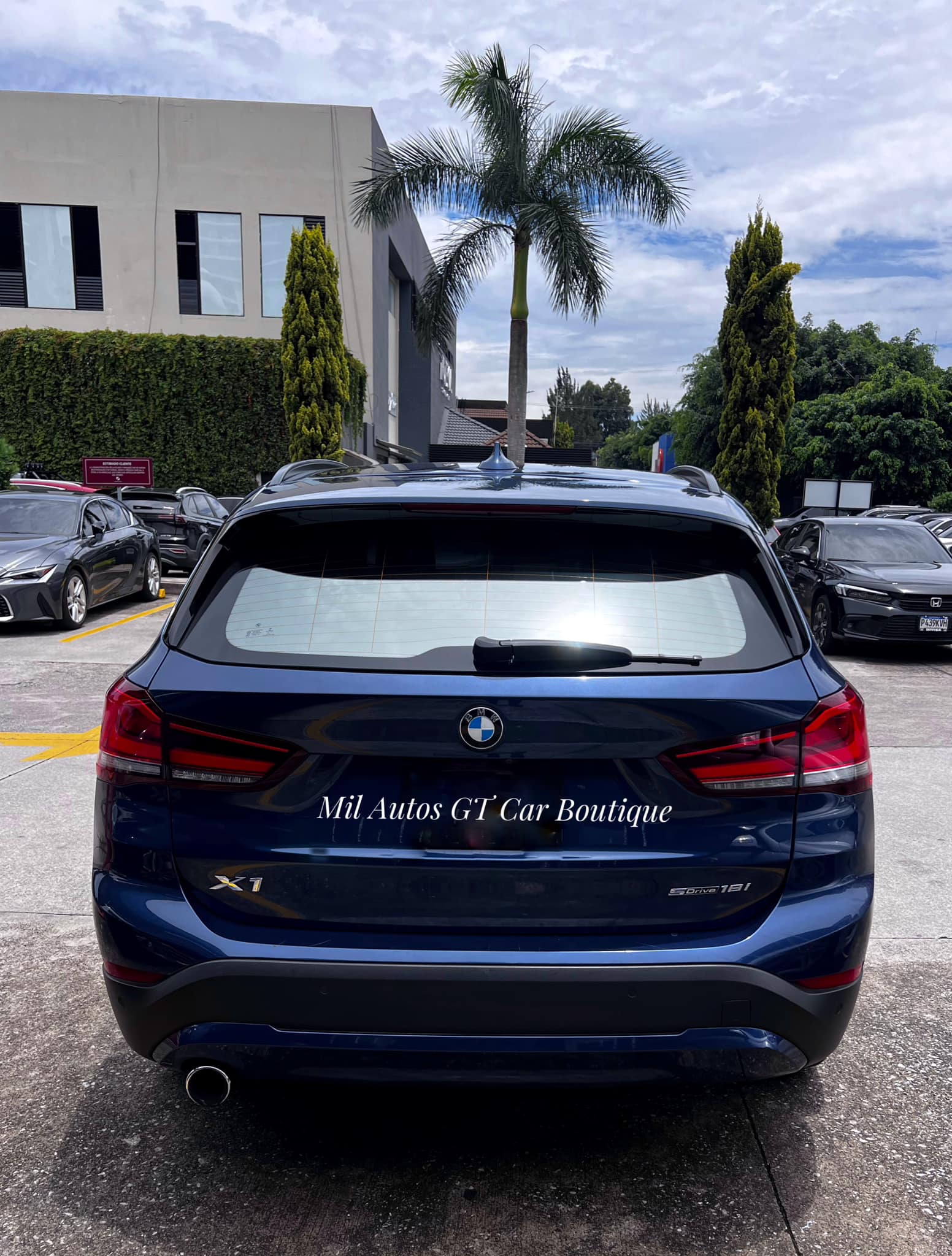 BMW (3)