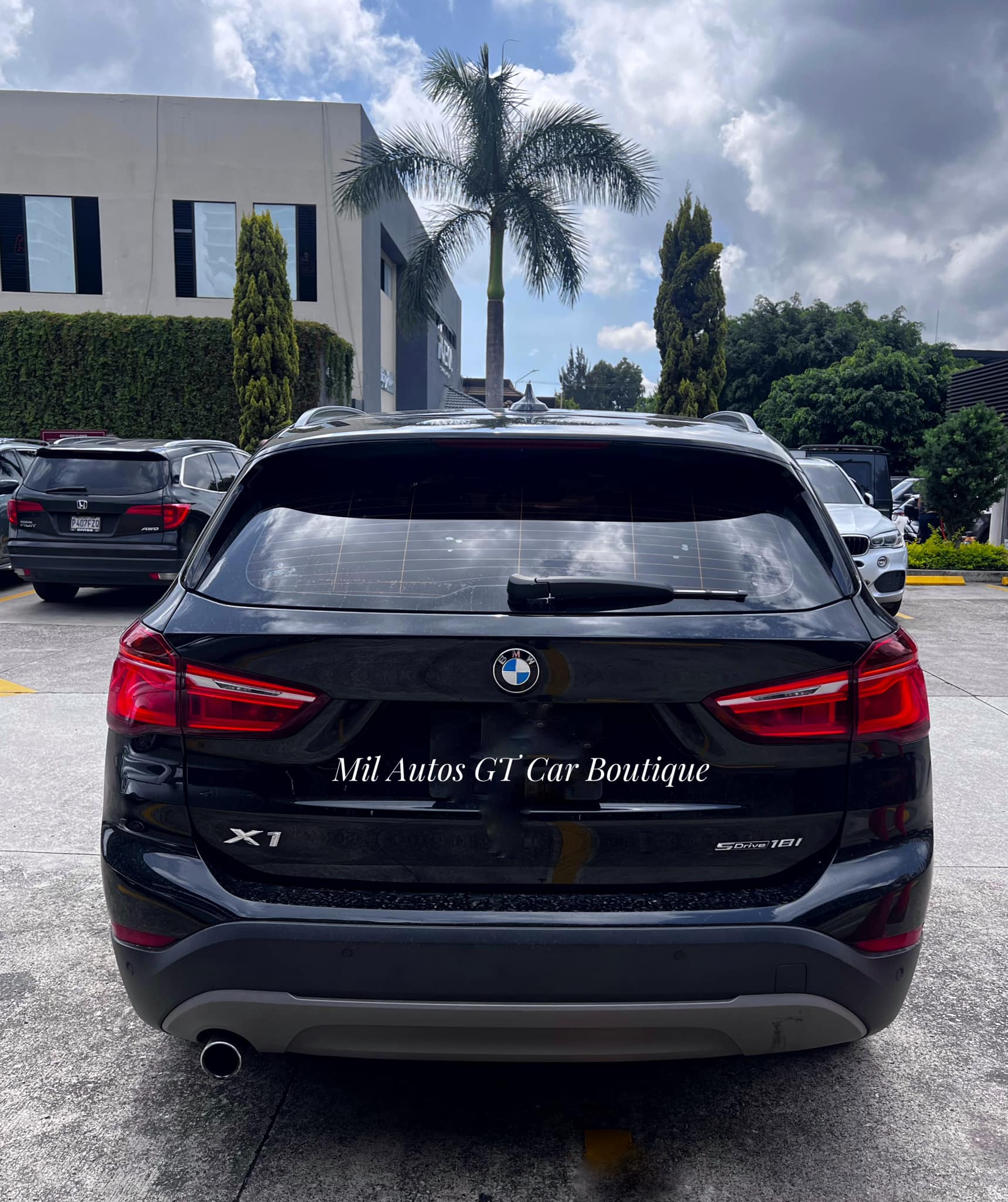 BMW (5)