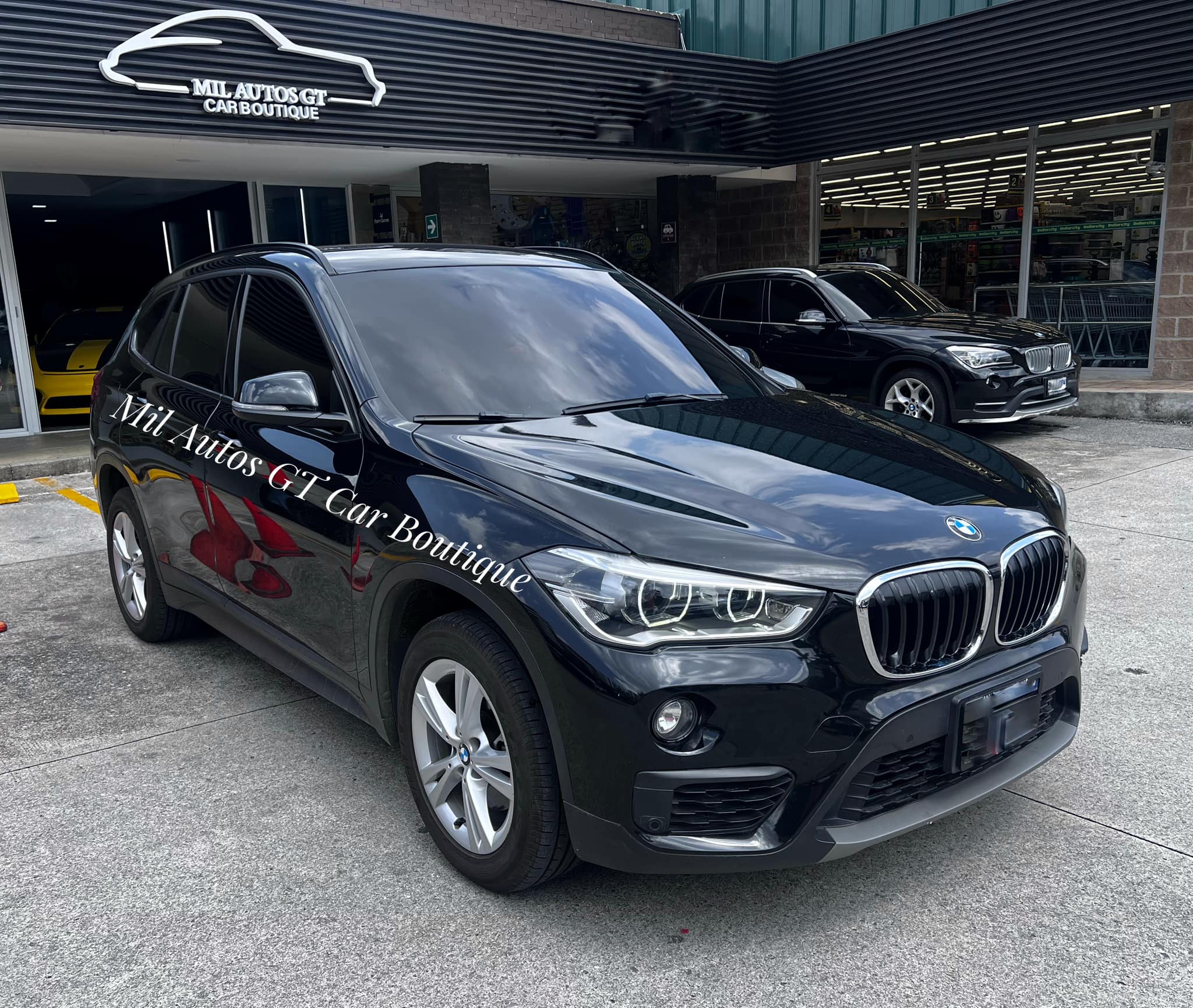 BMW (8)