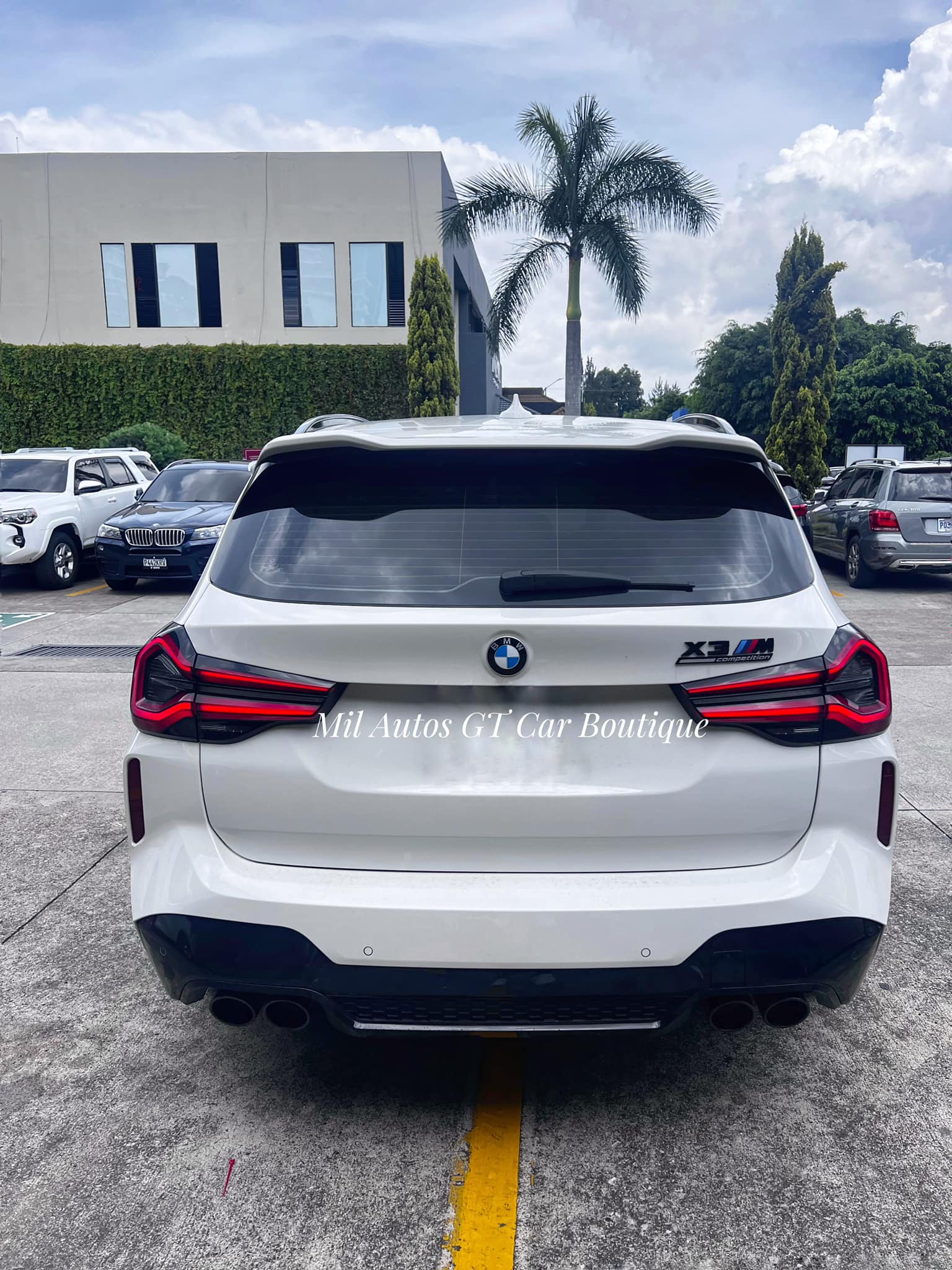 BMWx3 (10)