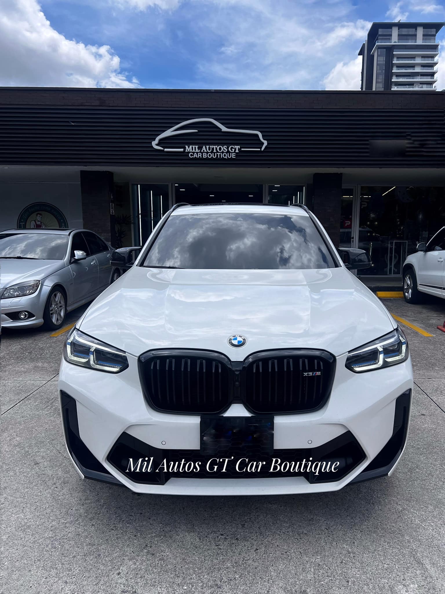 BMWx3 (13)
