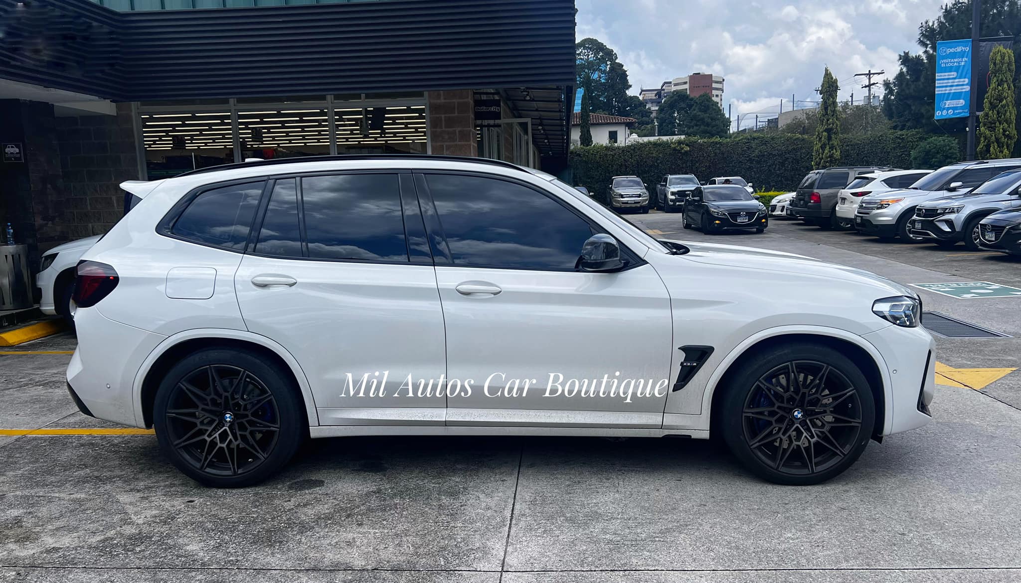 BMWx3 (14)