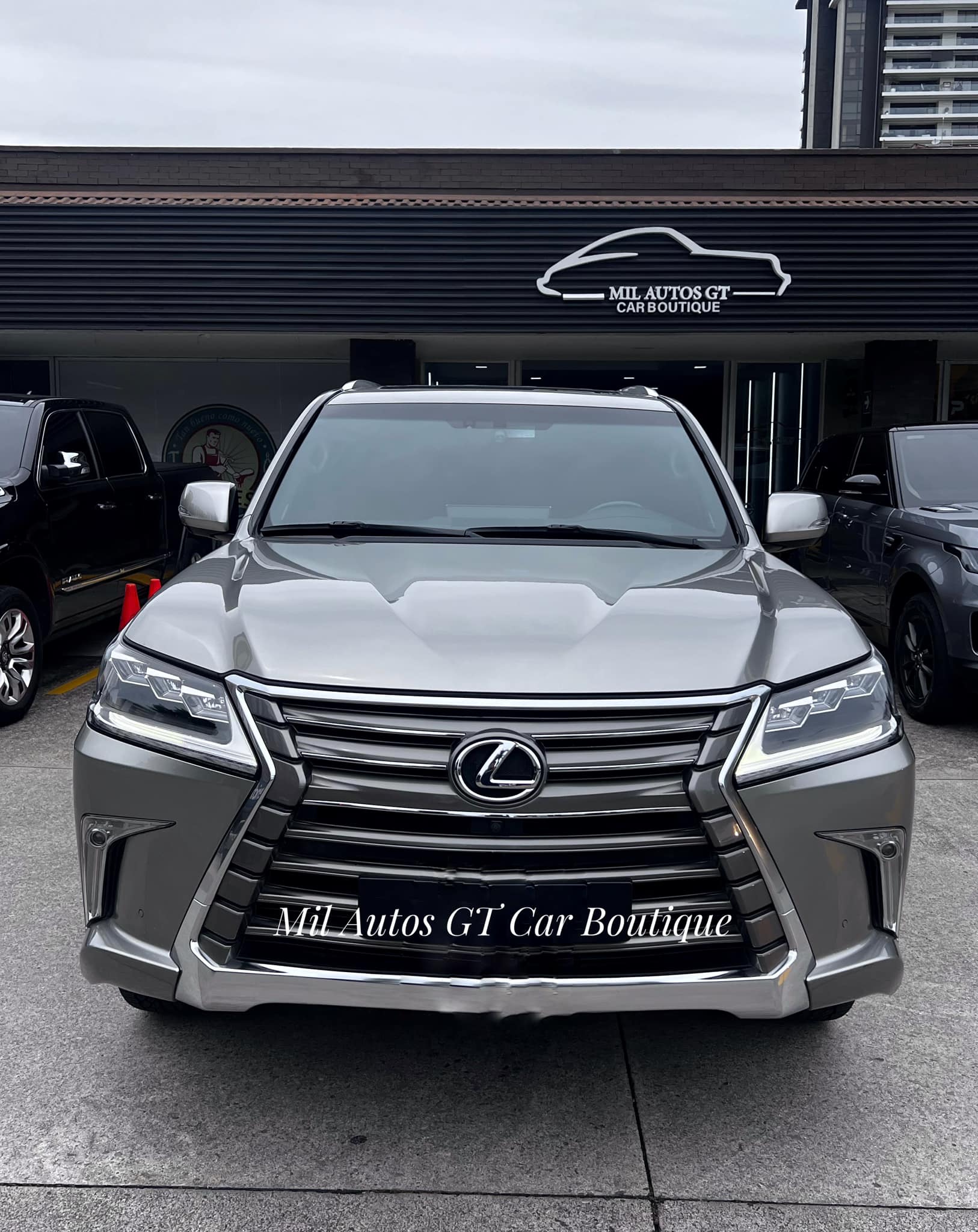 Lexus (13)