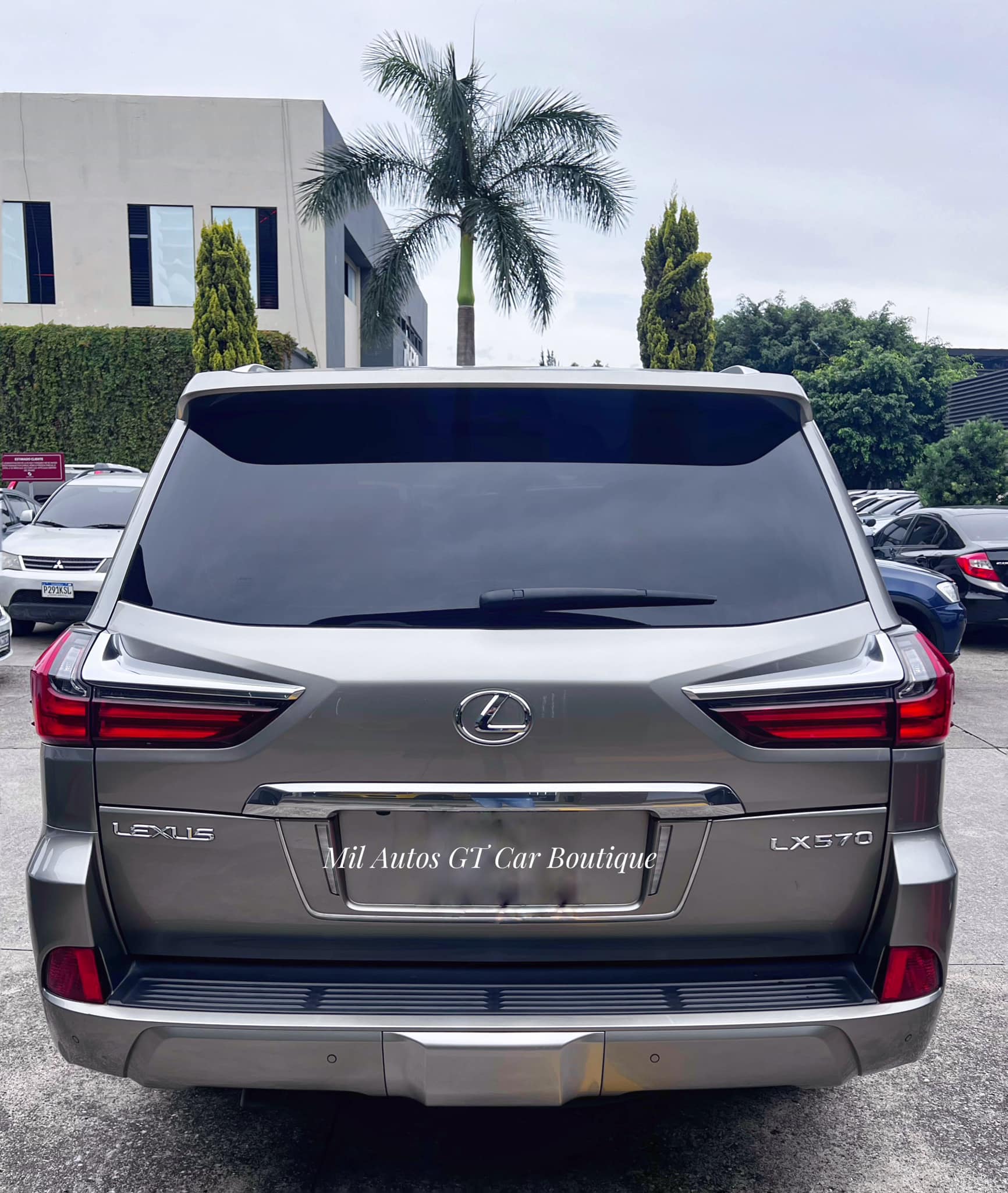 Lexus (7)