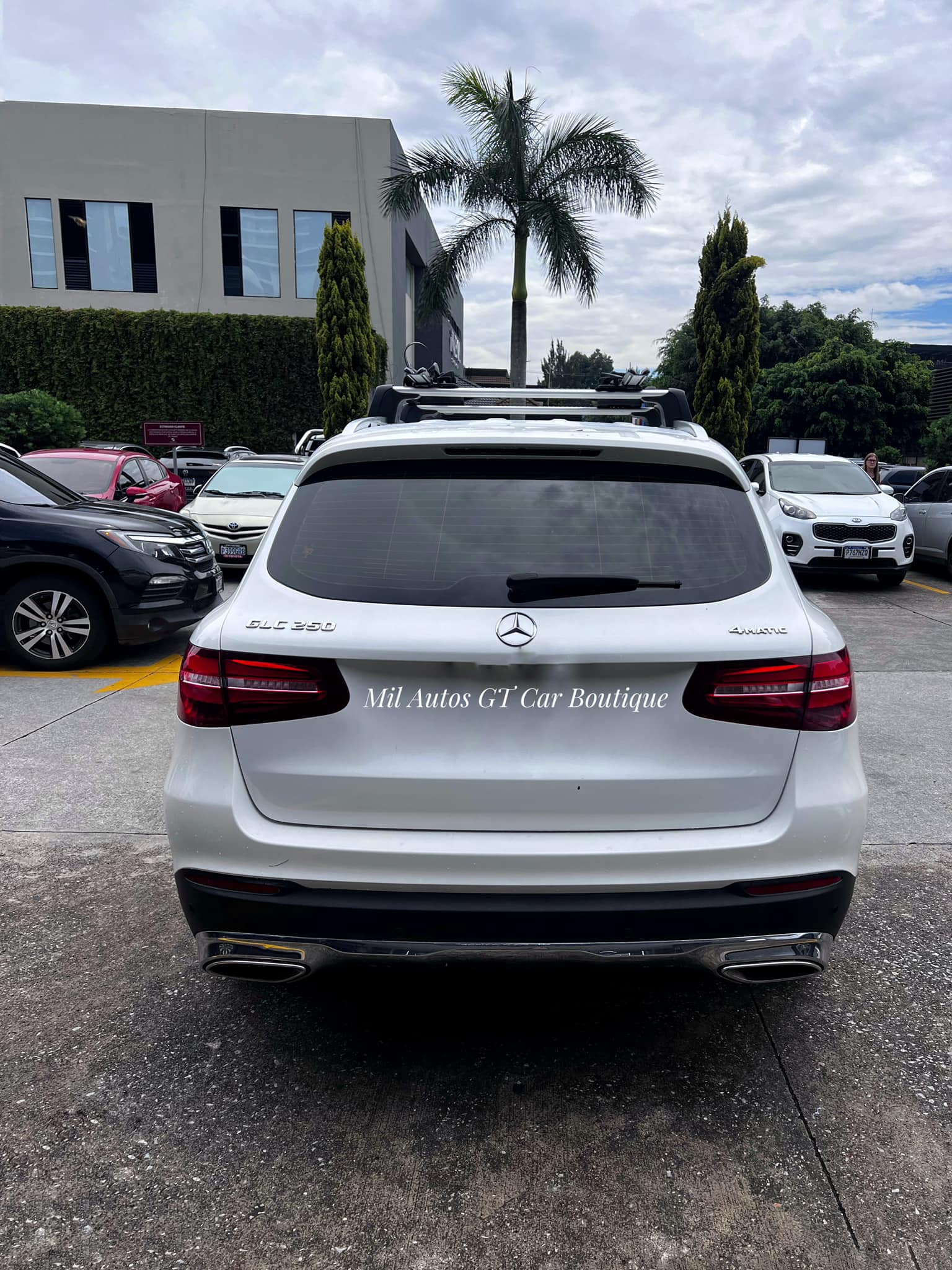 MercdesBenz (8)